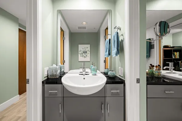 a bathroom with a sink and a mirror