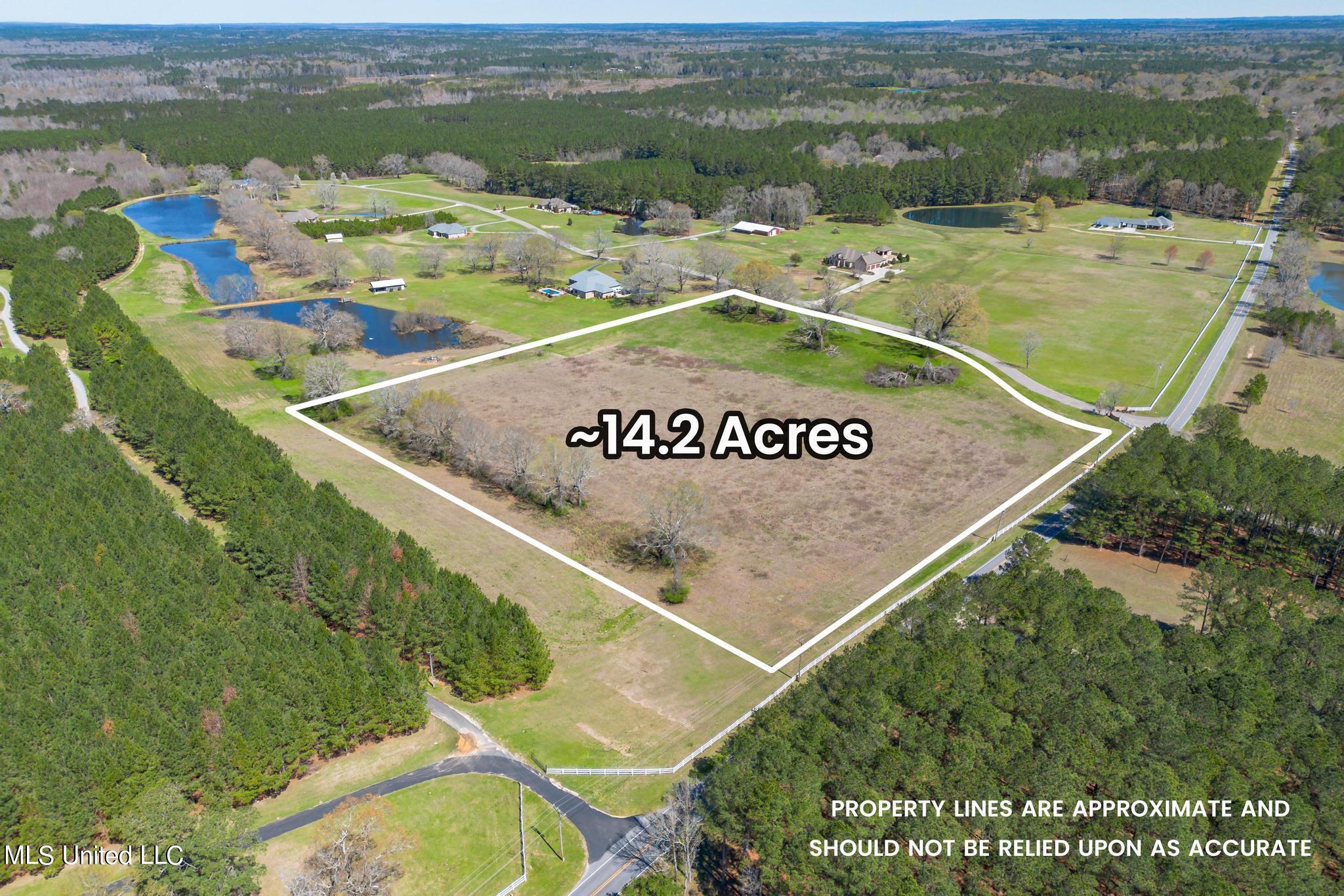 0 Sharon Moss Road Laurel, MS 39443 - Photo 1 of 12 Sharon Moss Road-1