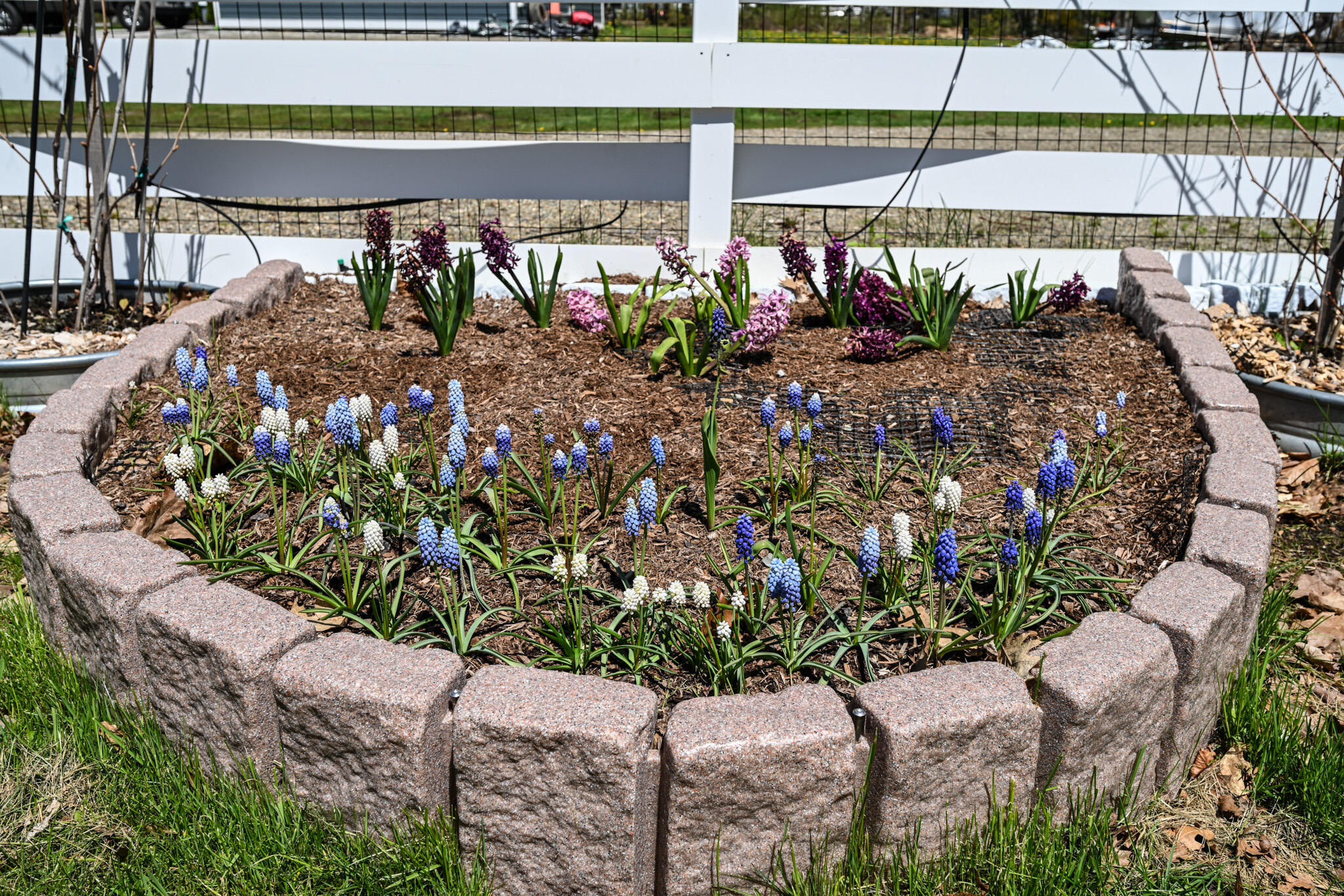 156 Congress Street Belfast, ME 04915 - Photo 66 of 71 One of Several Garden Spots