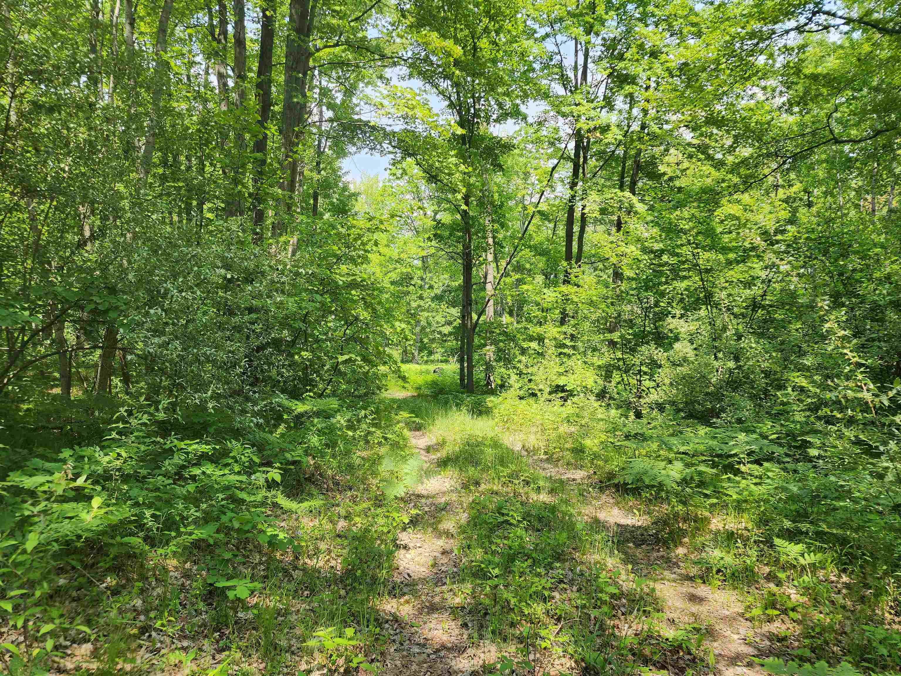 26-acres Mostetler Road Harrison, MI 48625 - Photo 3 of 18 Gallery Image 3