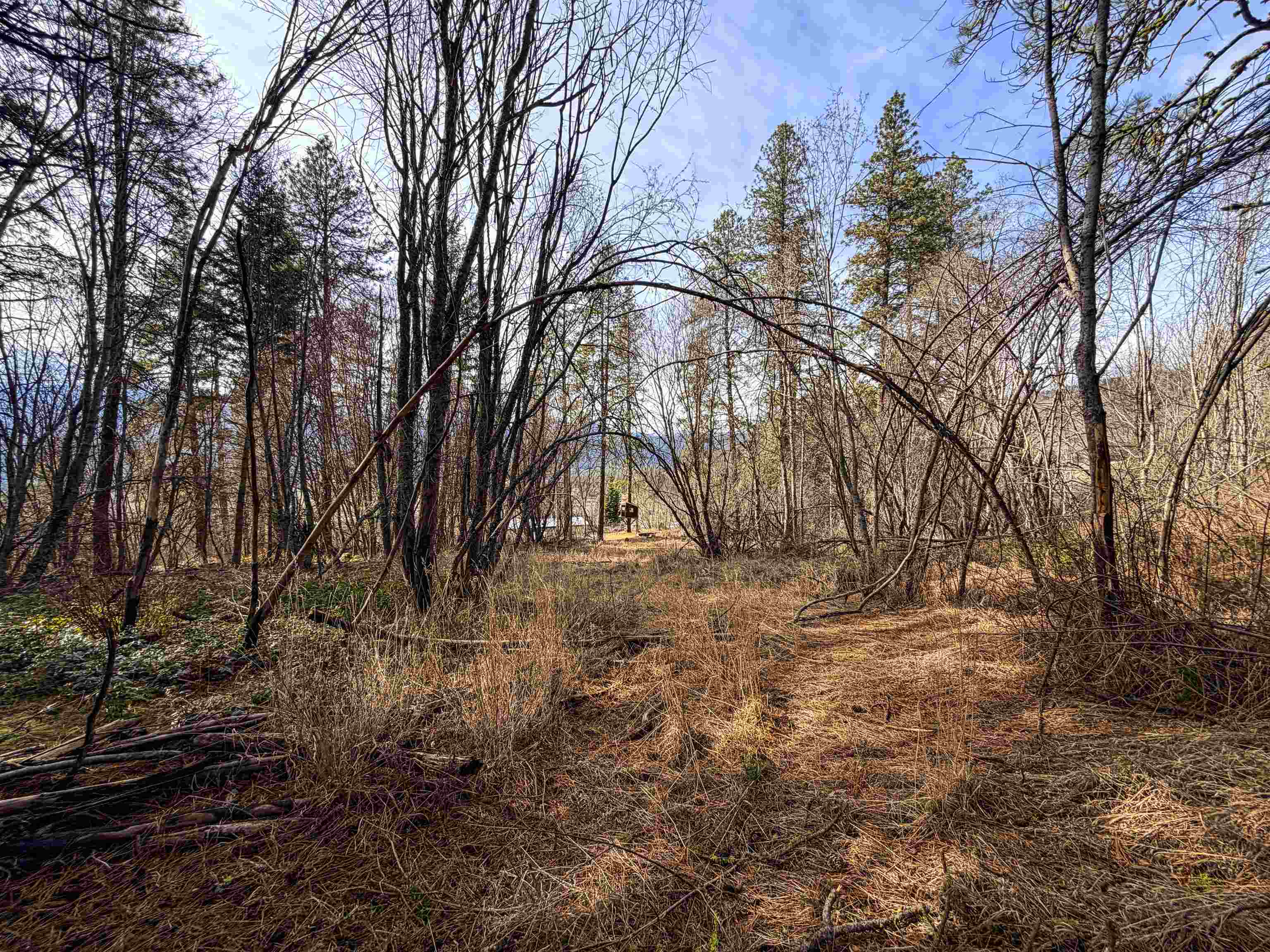 2897 McNitt Road Kettle Falls, WA 99141 - Photo 43 of 47