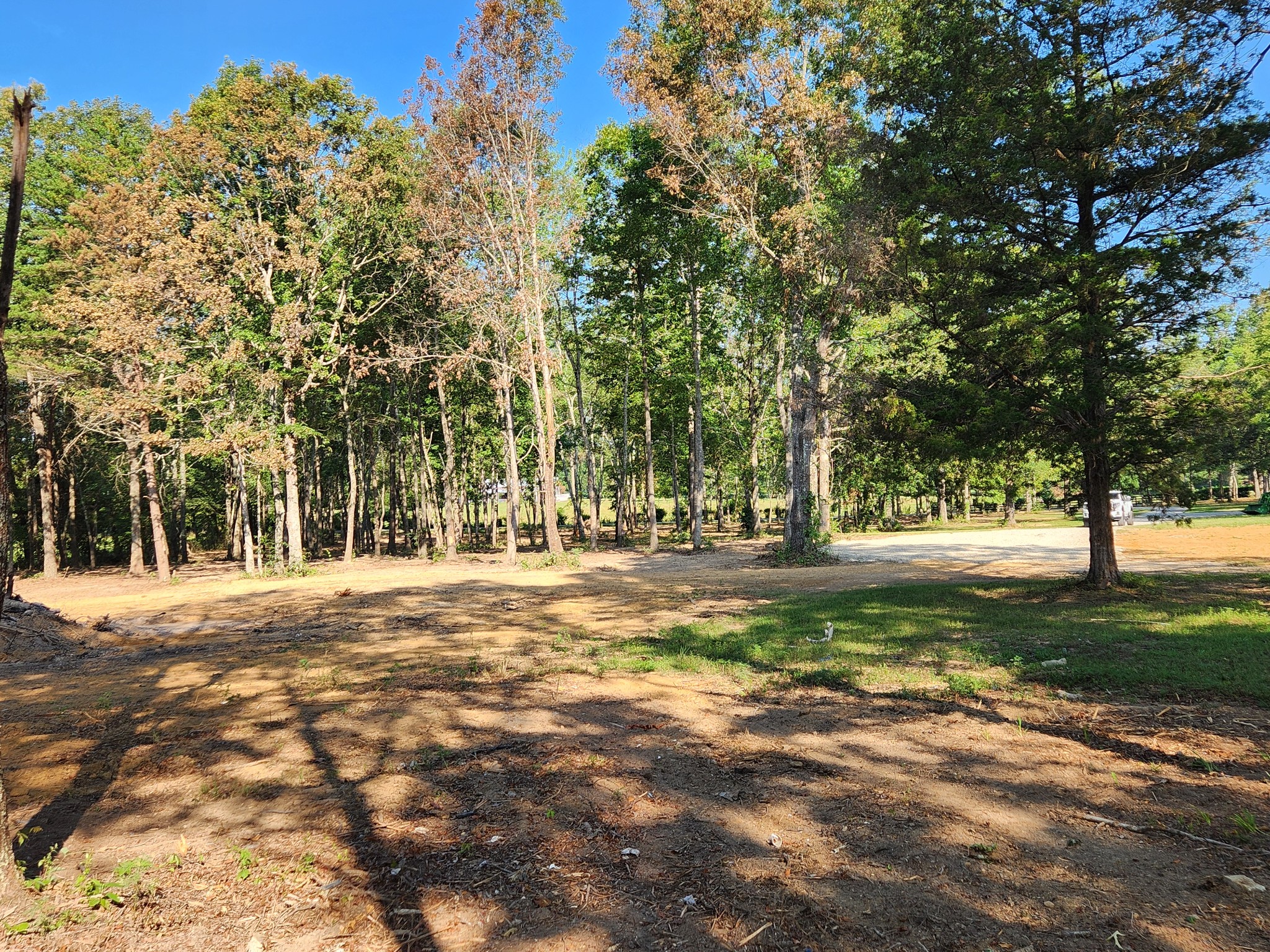 103 Deberry Road Morrison, TN 37357 - Photo 18 of 19