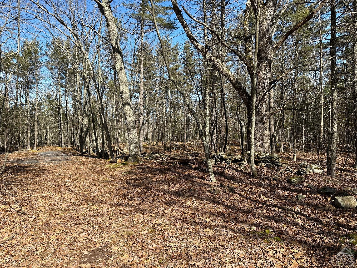 0 Blackhead Mtn Road Round Top, NY 12473 - Photo 11 of 27 Photo 11
