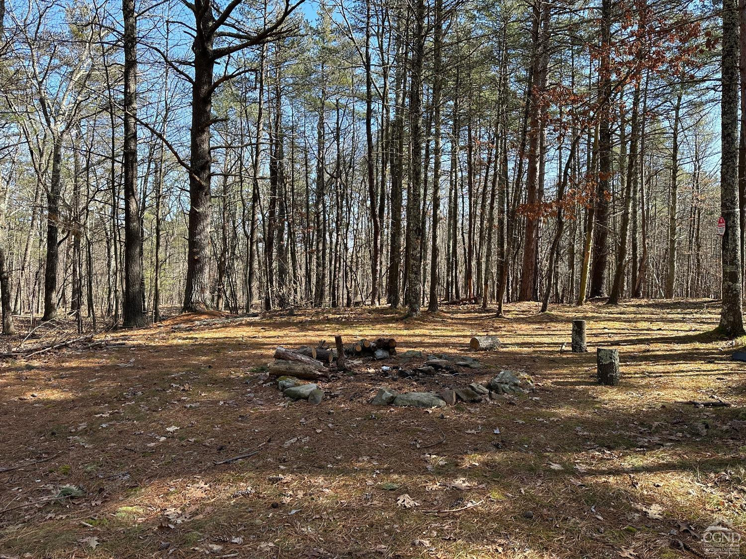 0 Blackhead Mtn Road Round Top, NY 12473 - Photo 12 of 27 Photo 12