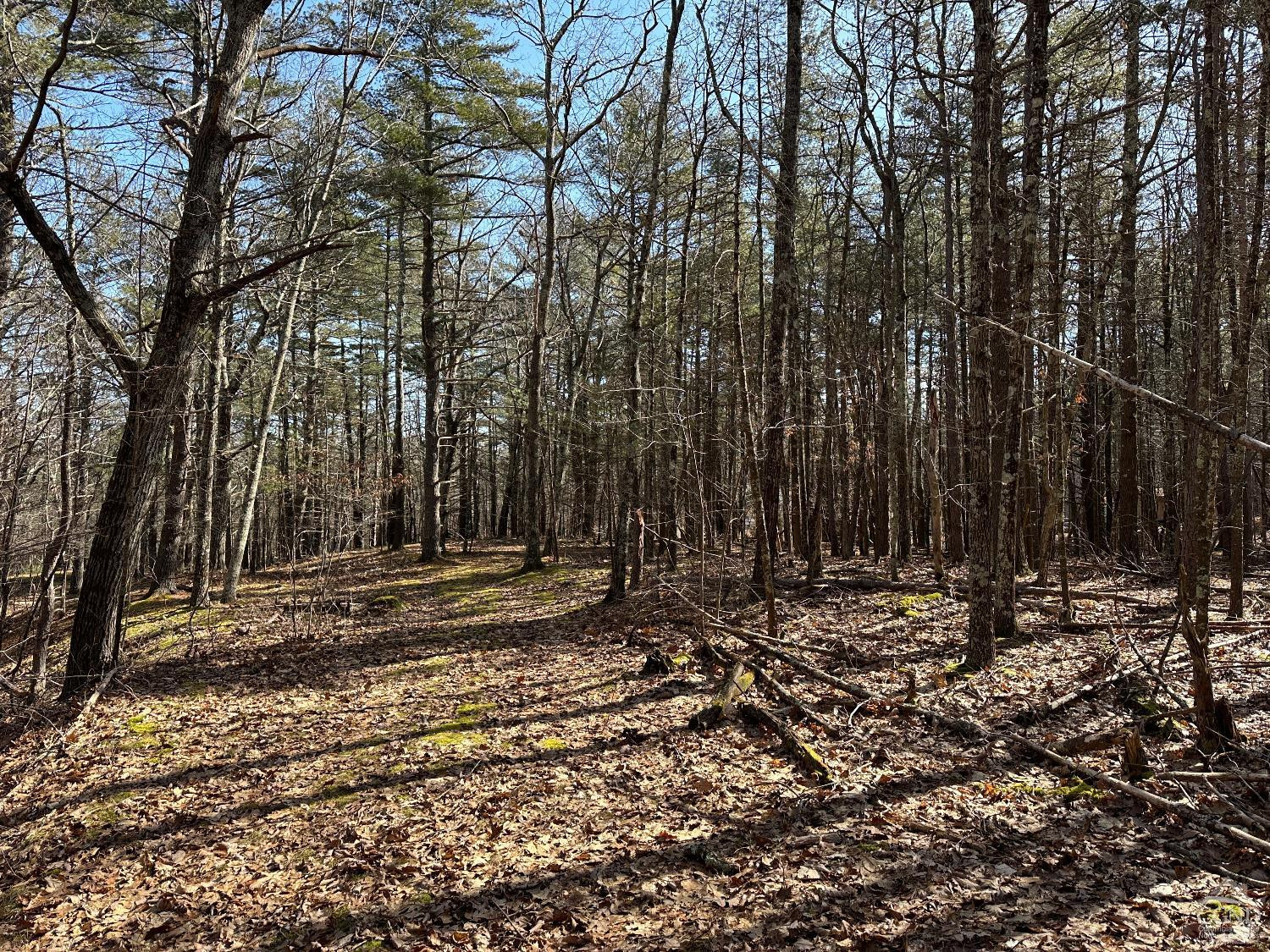 0 Blackhead Mtn Road Round Top, NY 12473 - Photo 14 of 27 Photo 14