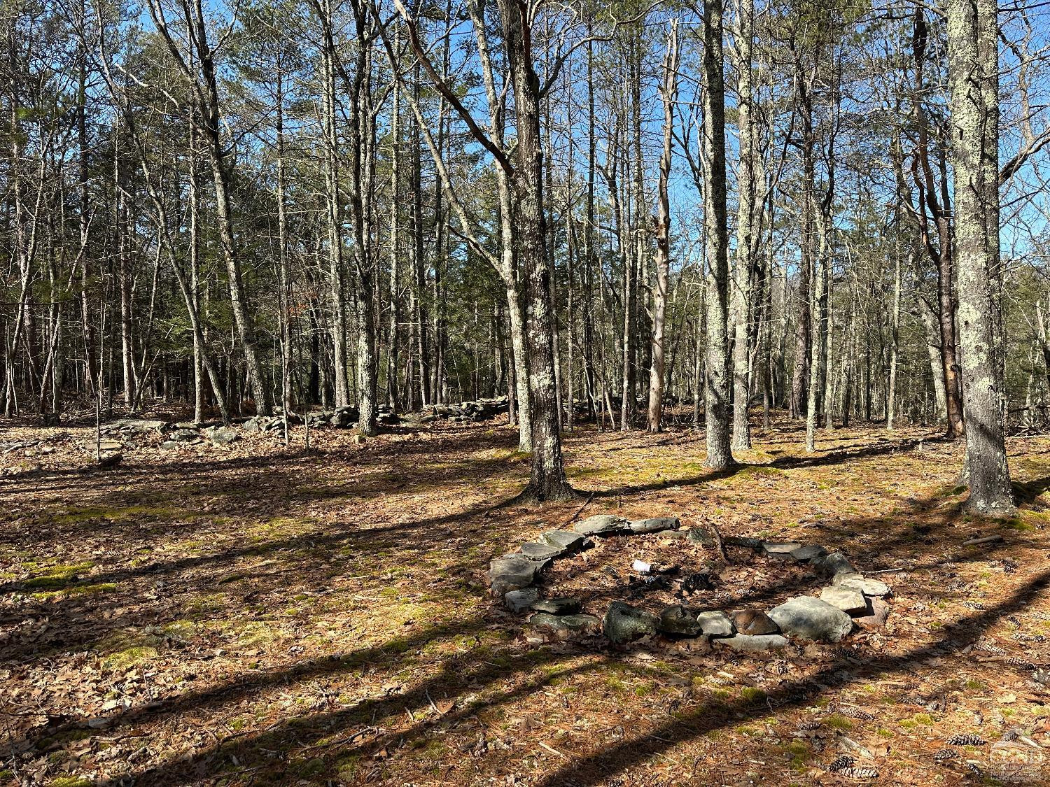 0 Blackhead Mtn Road Round Top, NY 12473 - Photo 15 of 27 Photo 15