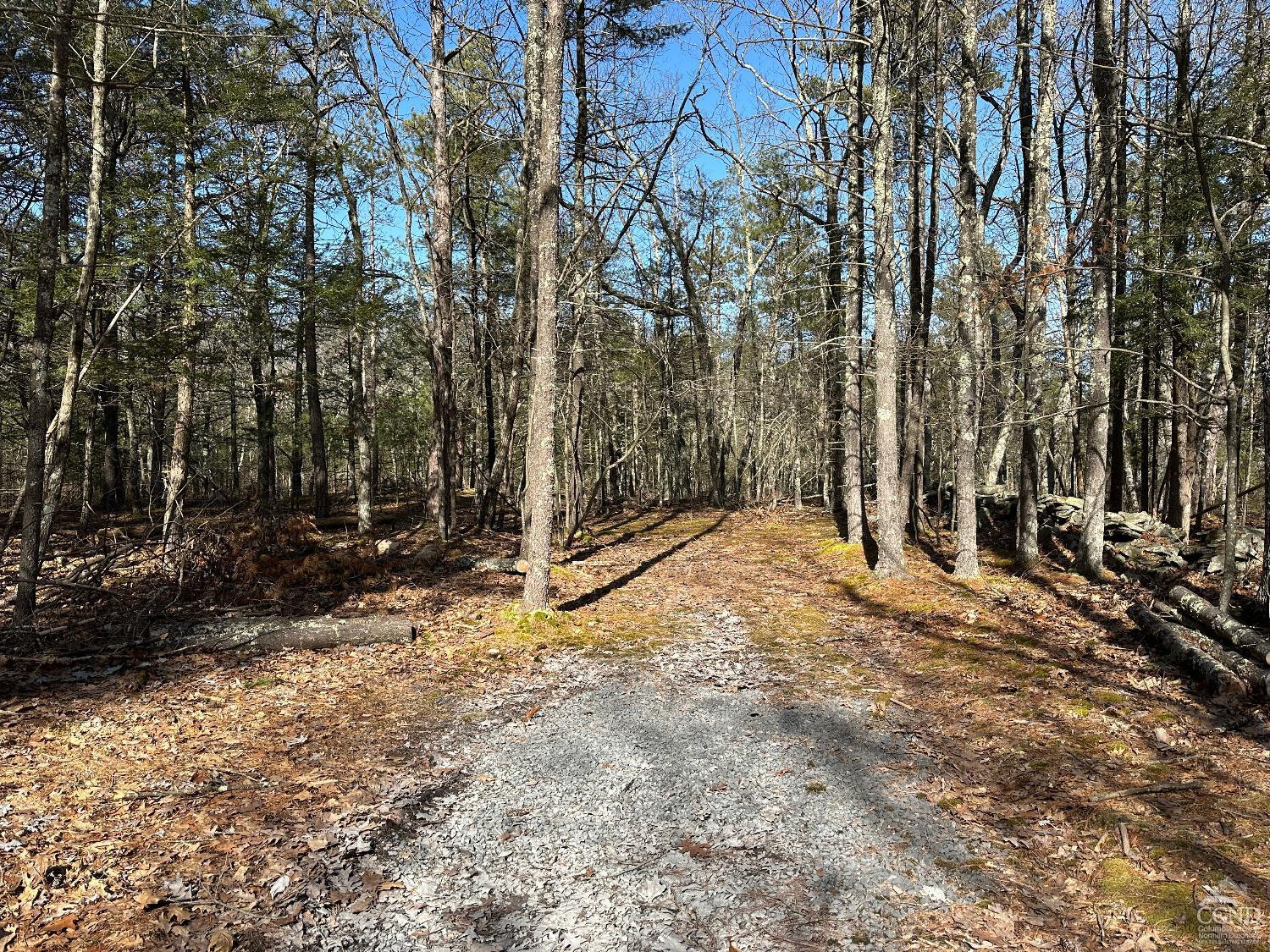 0 Blackhead Mtn Road Round Top, NY 12473 - Photo 16 of 27 Photo 16