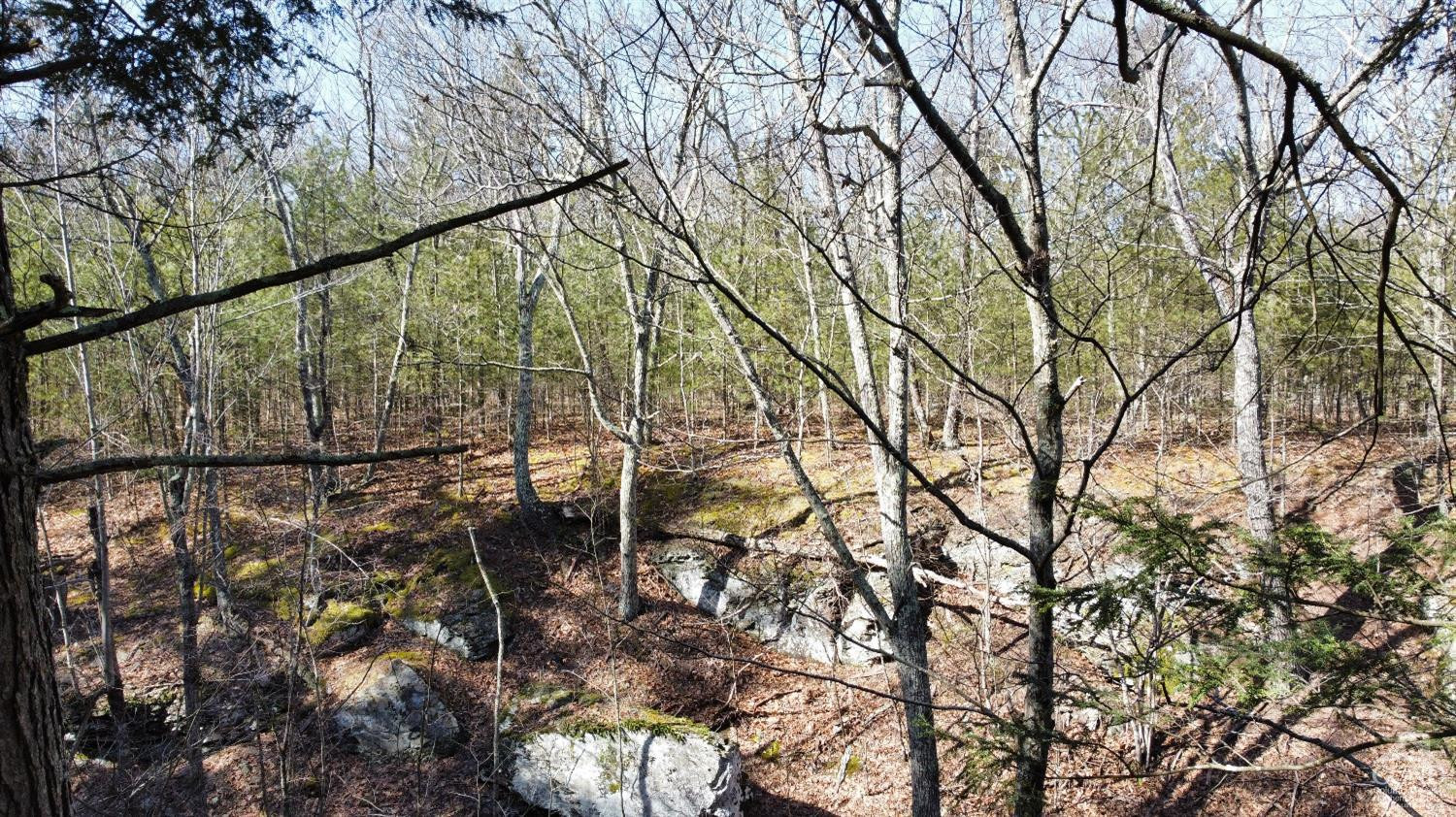 0 Blackhead Mtn Road Round Top, NY 12473 - Photo 17 of 27 Photo 17
