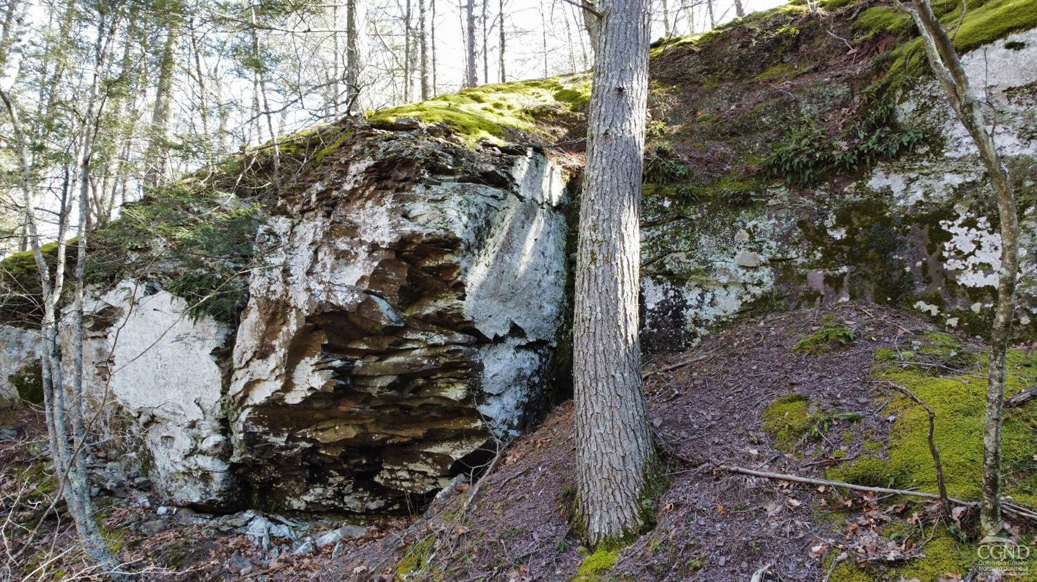 0 Blackhead Mtn Road Round Top, NY 12473 - Photo 18 of 27 Photo 18
