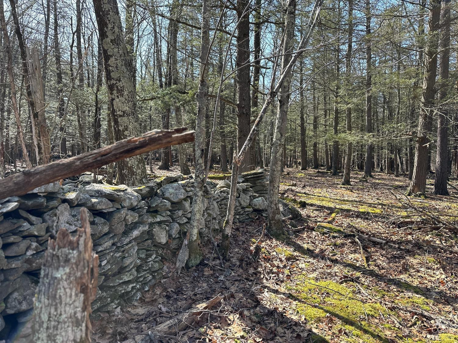 0 Blackhead Mtn Road Round Top, NY 12473 - Photo 20 of 27 Photo 20