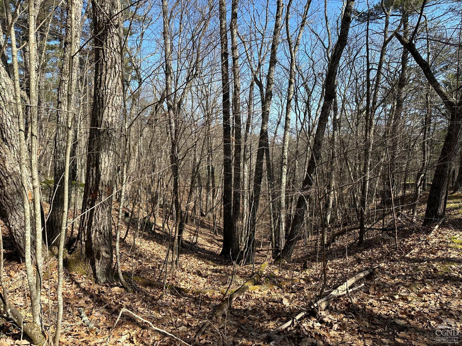 0 Blackhead Mtn Road Round Top, NY 12473 - Photo 21 of 27 Photo 21