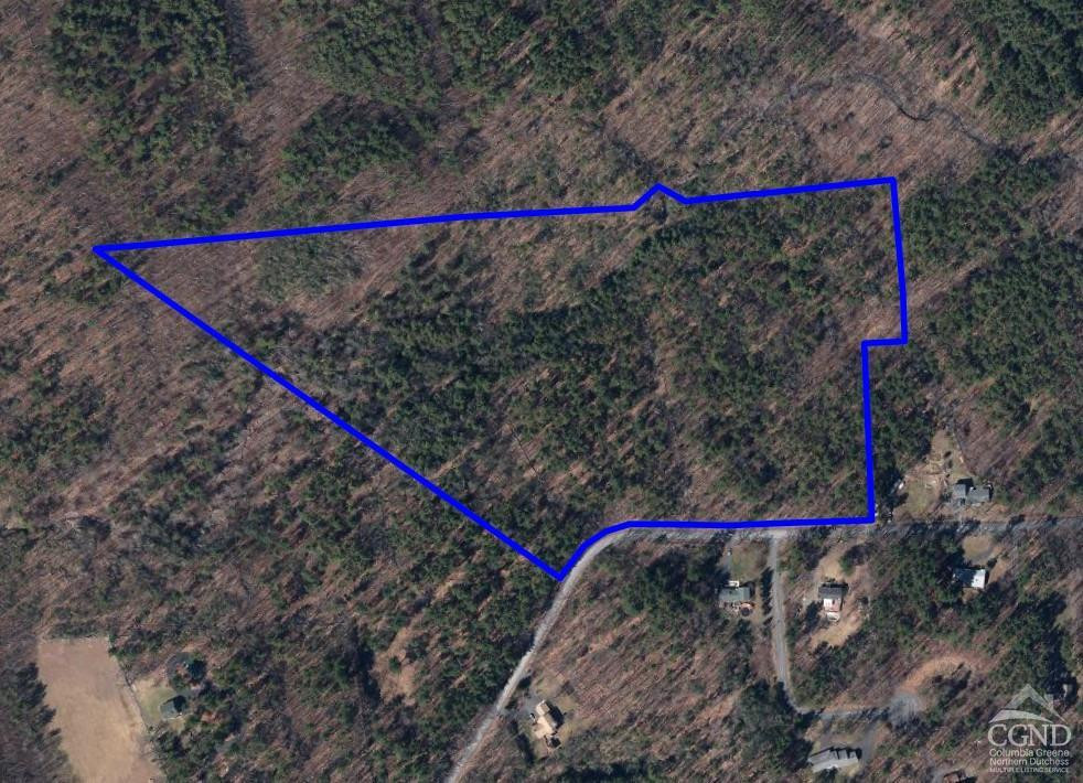 0 Blackhead Mtn Road Round Top, NY 12473 - Photo 22 of 27 Photo 22