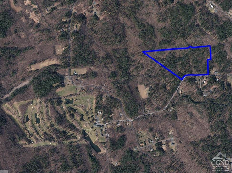 0 Blackhead Mtn Road Round Top, NY 12473 - Photo 23 of 27 Photo 23