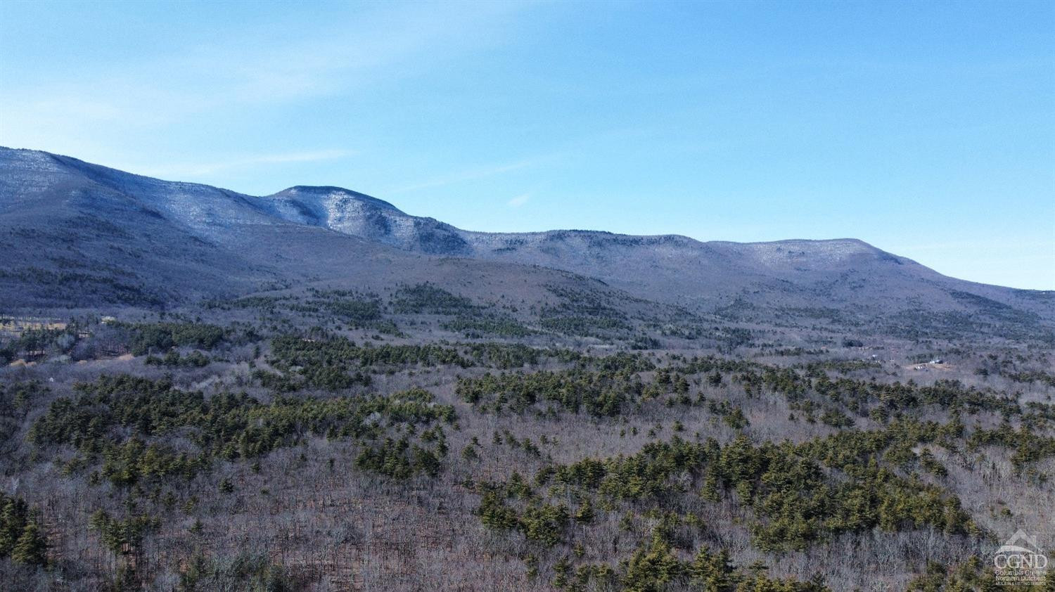 0 Blackhead Mtn Road Round Top, NY 12473 - Photo 25 of 27 Photo 25
