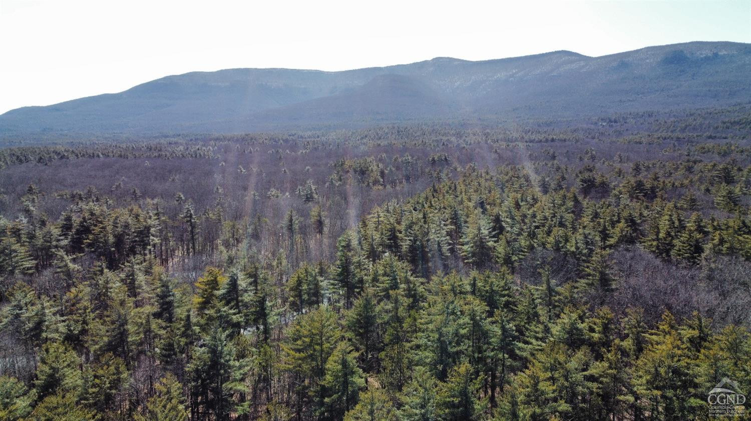 0 Blackhead Mtn Road Round Top, NY 12473 - Photo 27 of 27 Photo 27