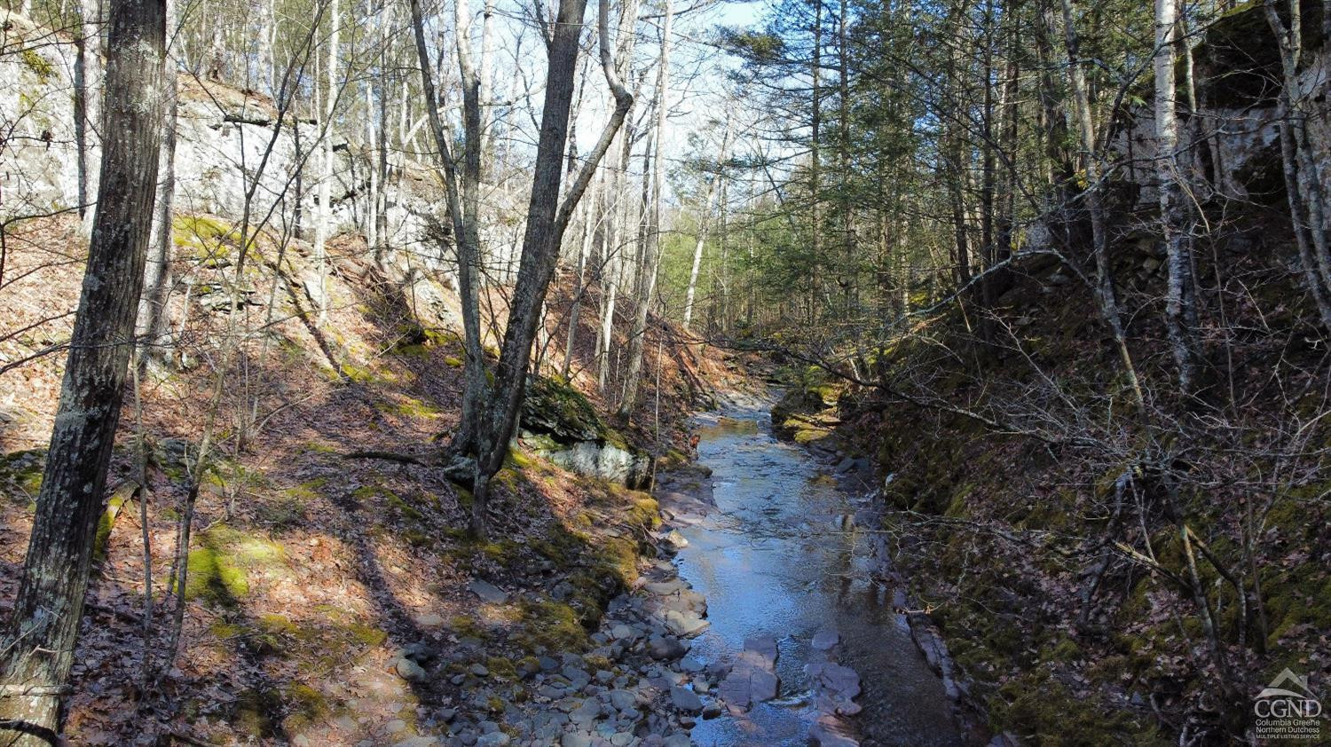 0 Blackhead Mtn Road Round Top, NY 12473 - Photo 3 of 27 Photo 3