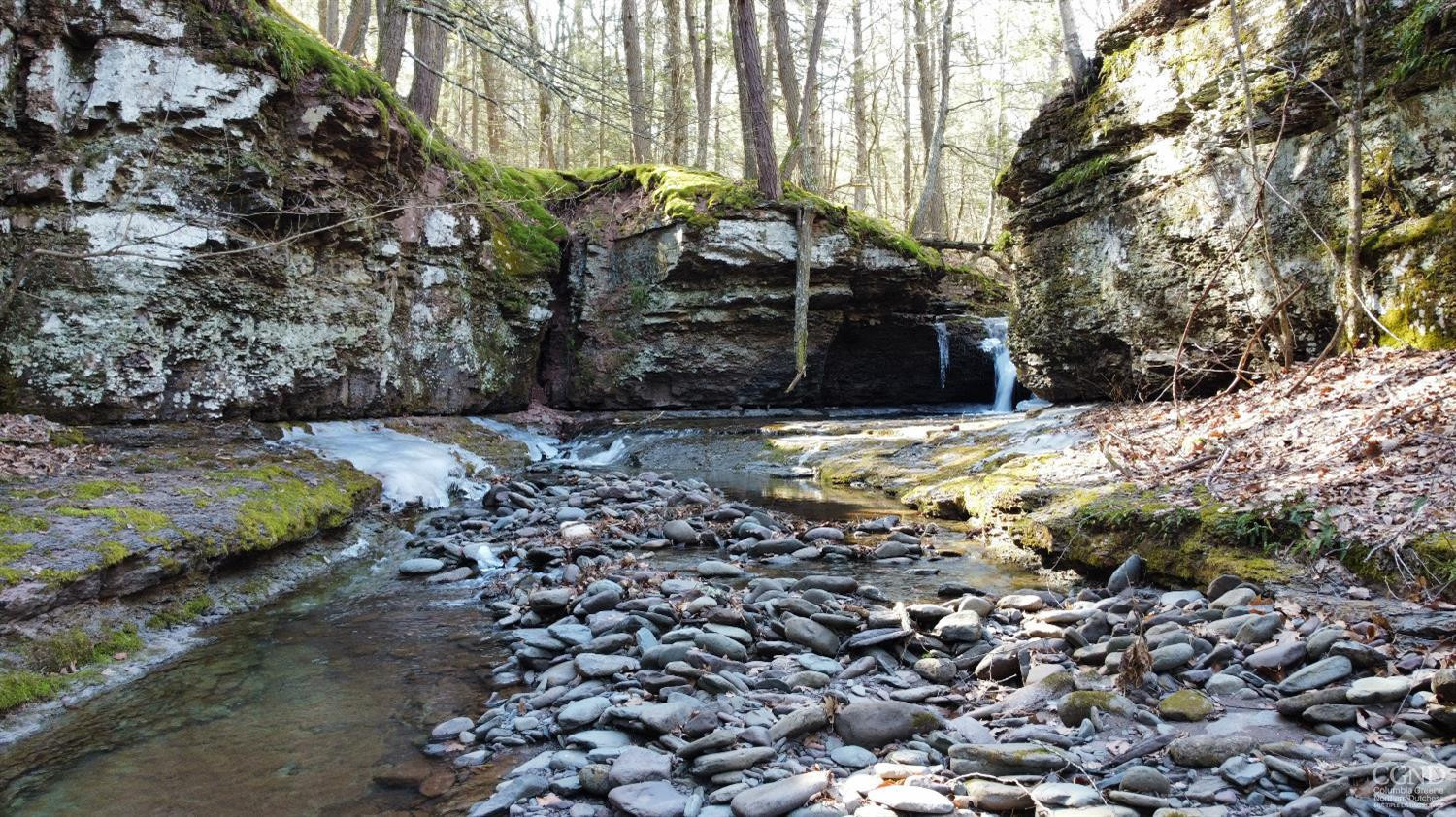 0 Blackhead Mtn Road Round Top, NY 12473 - Photo 4 of 27 Photo 4