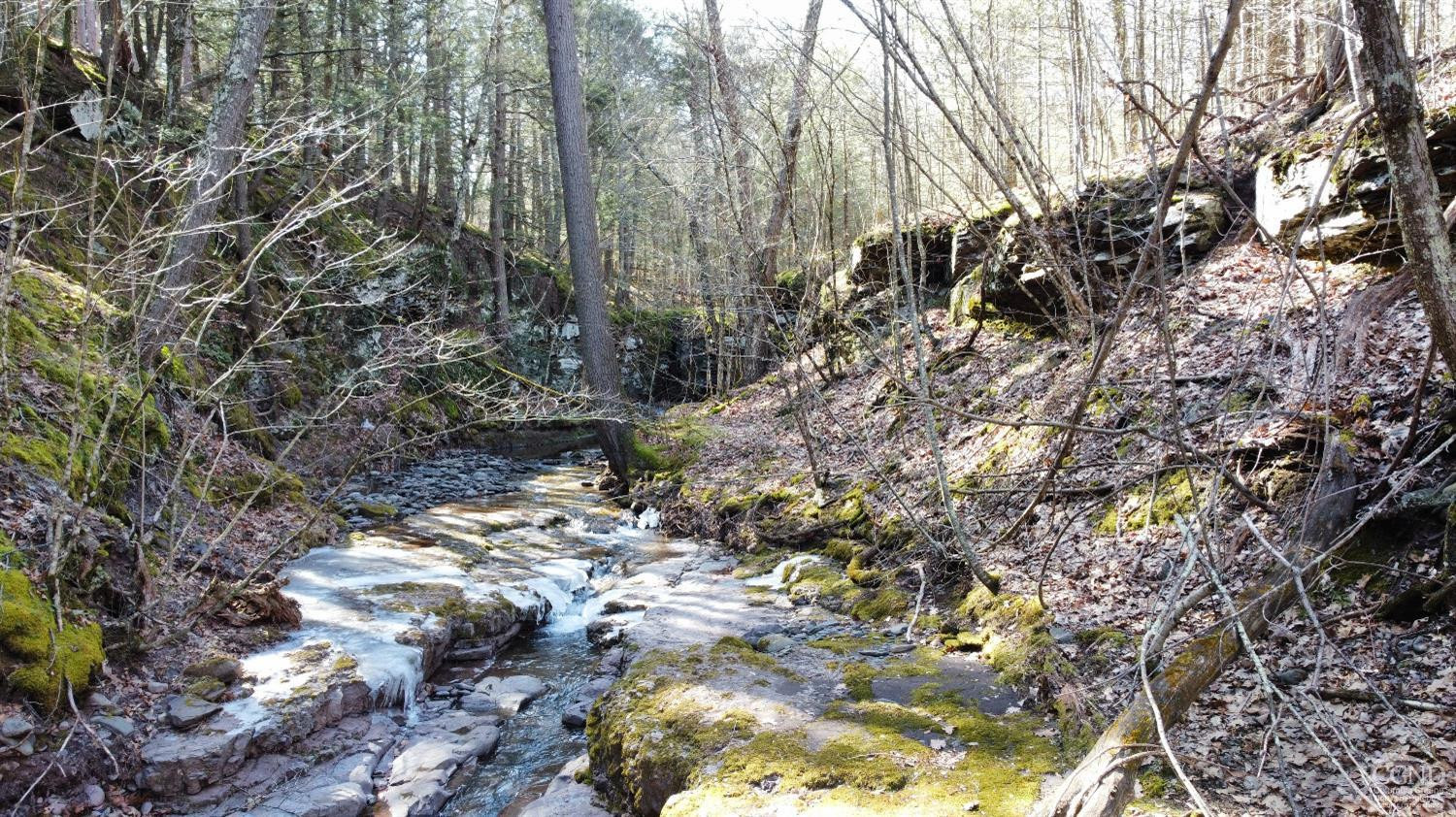 0 Blackhead Mtn Road Round Top, NY 12473 - Photo 5 of 27 Photo 5