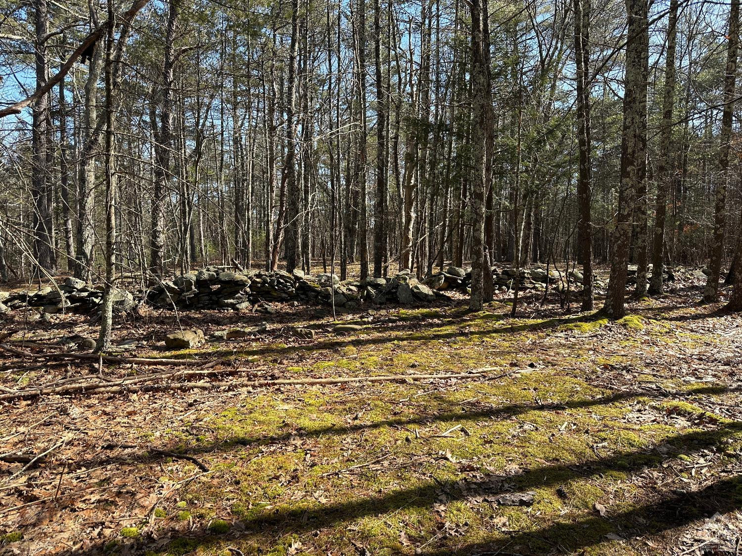 0 Blackhead Mtn Road Round Top, NY 12473 - Photo 7 of 27 Photo 7