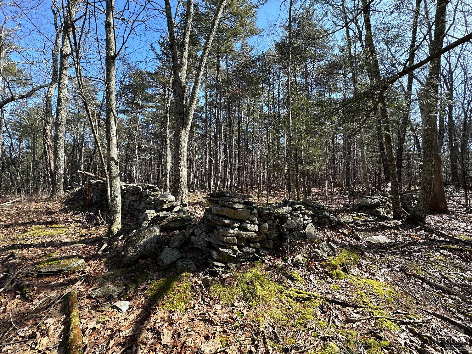 0 Blackhead Mtn Road Round Top, NY 12473 - Photo 9 of 27 Photo 9