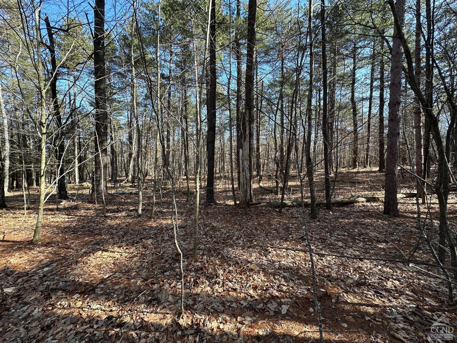 0 Blackhead Mtn Road Round Top, NY 12473 - Photo 10 of 27 Photo 10