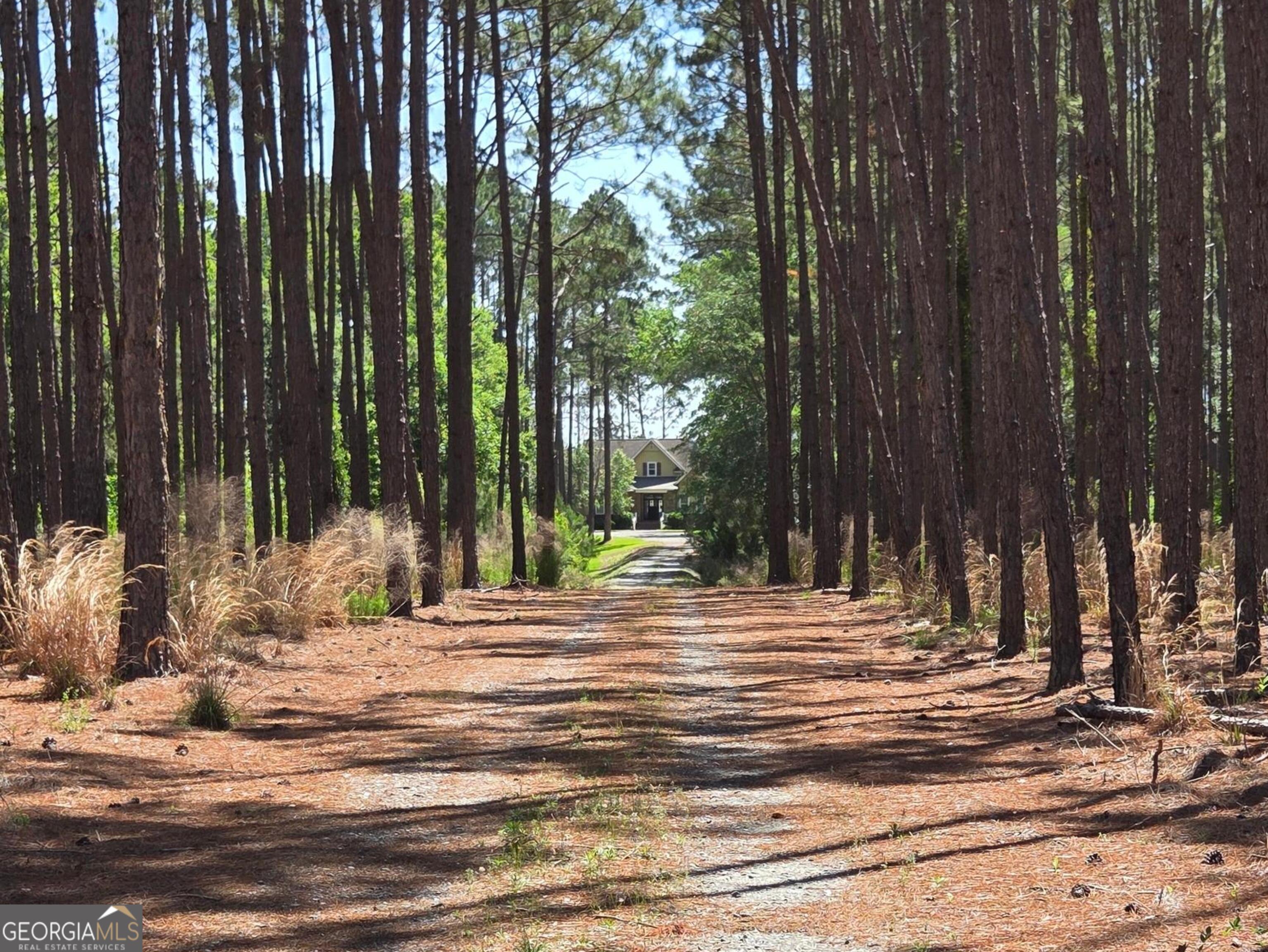 300 Hammond Powell Road Hazlehurst, GA 31539 - Photo 91 of 91
