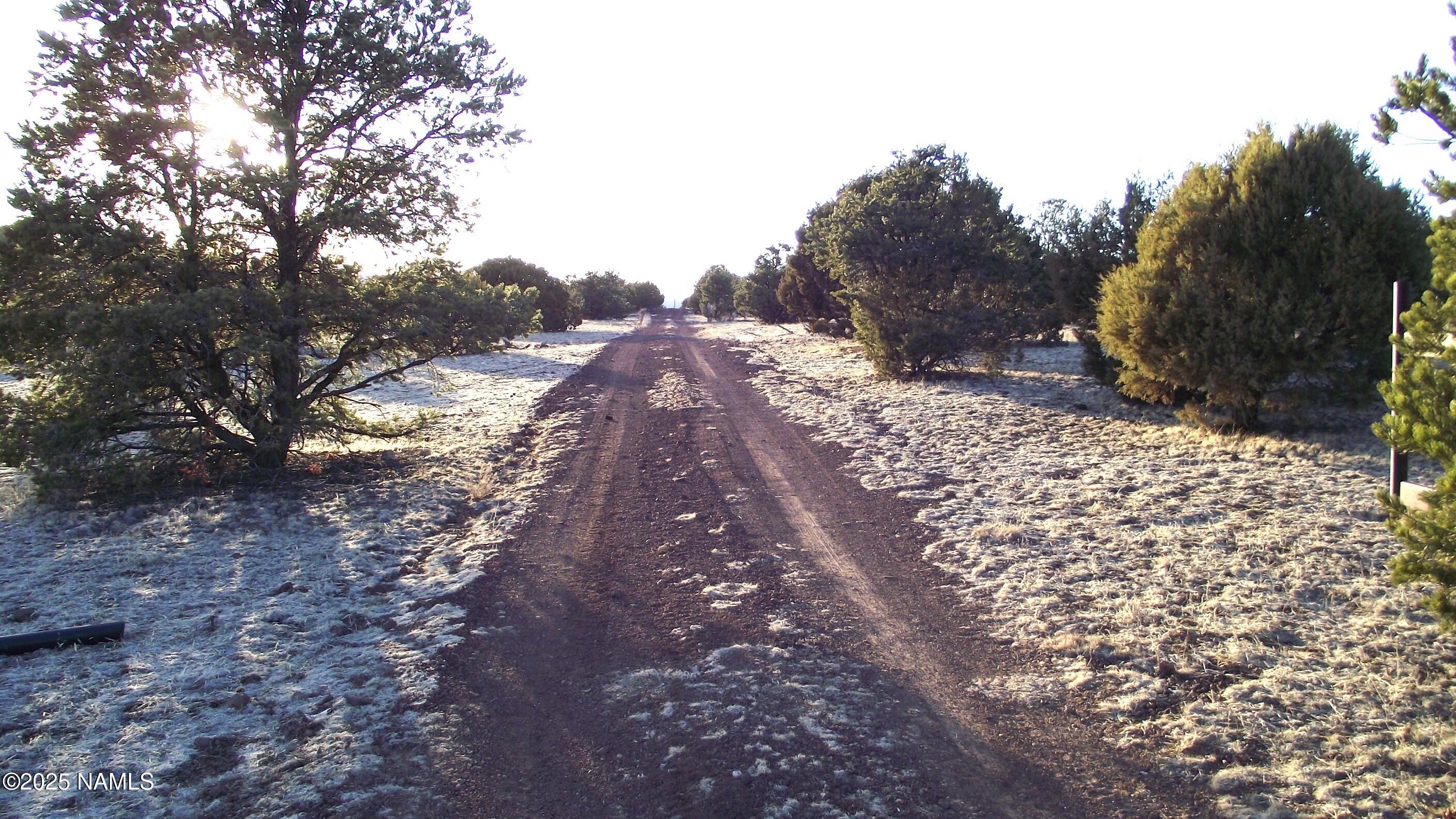 20202107 C Honeysuckle Road Williams, AZ 86046 - Photo 15 of 17 a view of a yard with trees