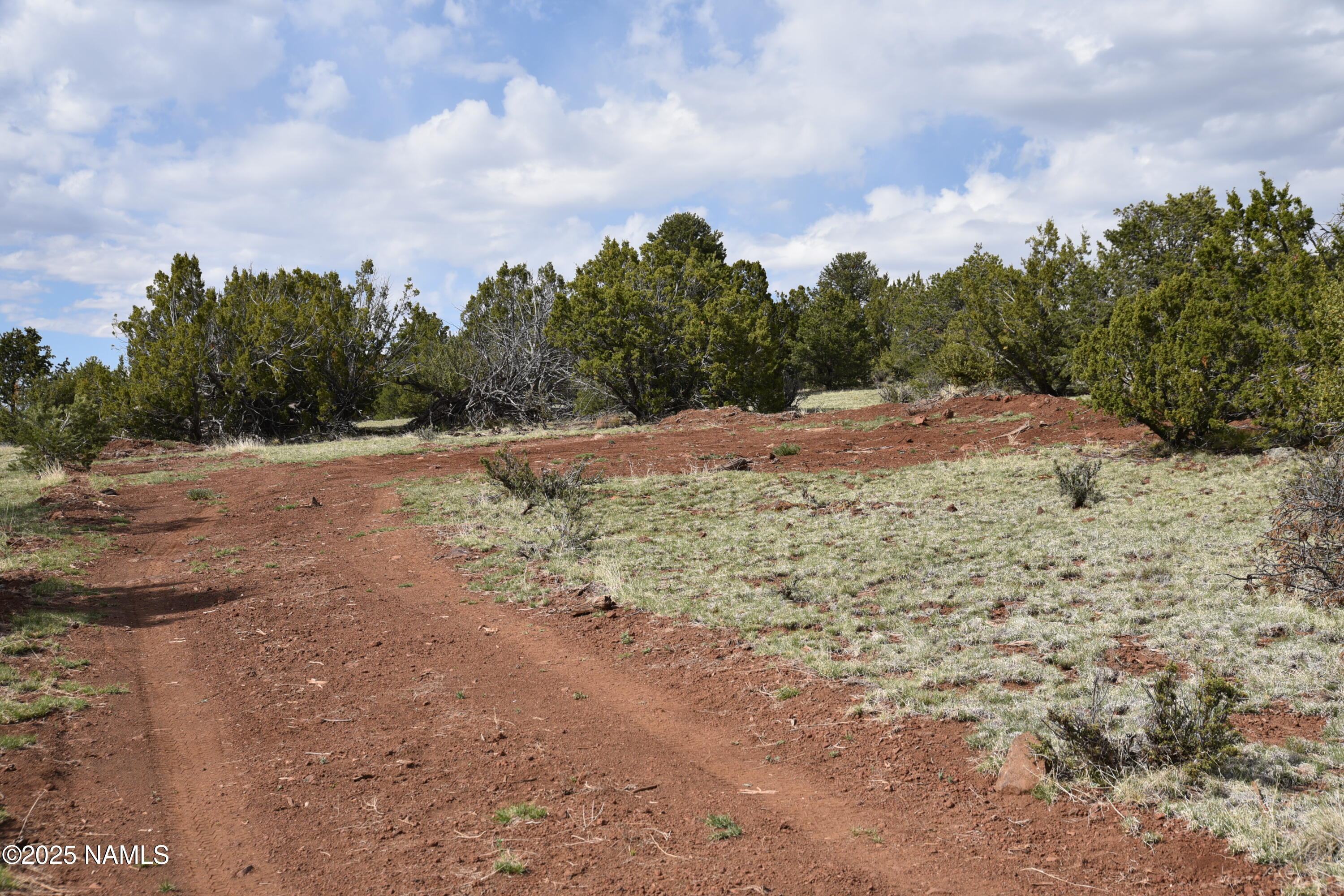 20202107 C Honeysuckle Road Williams, AZ 86046 - Photo 16 of 17 a view of a dry yard with trees