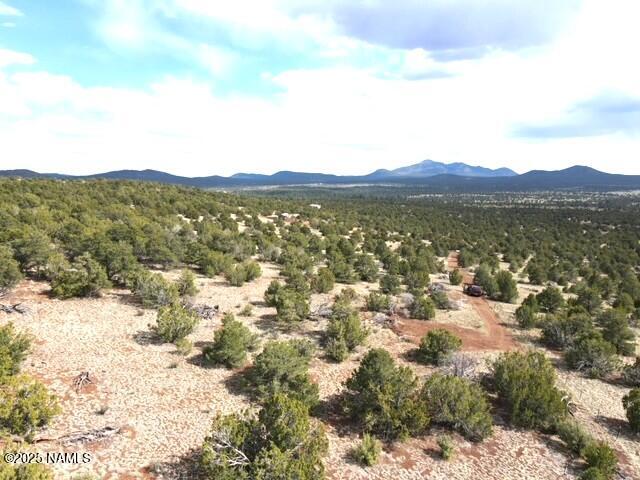20202107 C Honeysuckle Road Williams, AZ 86046 - Photo 3 of 17 a view of lake with mountain