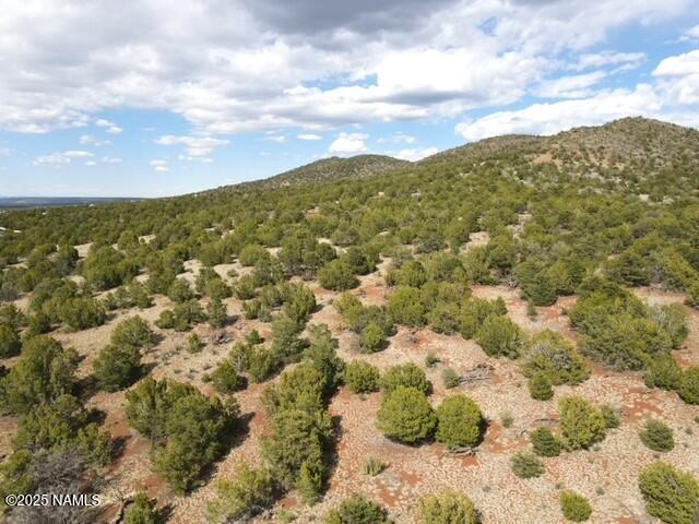 20202107 C Honeysuckle Road Williams, AZ 86046 - Photo 4 of 17 a view of a city
