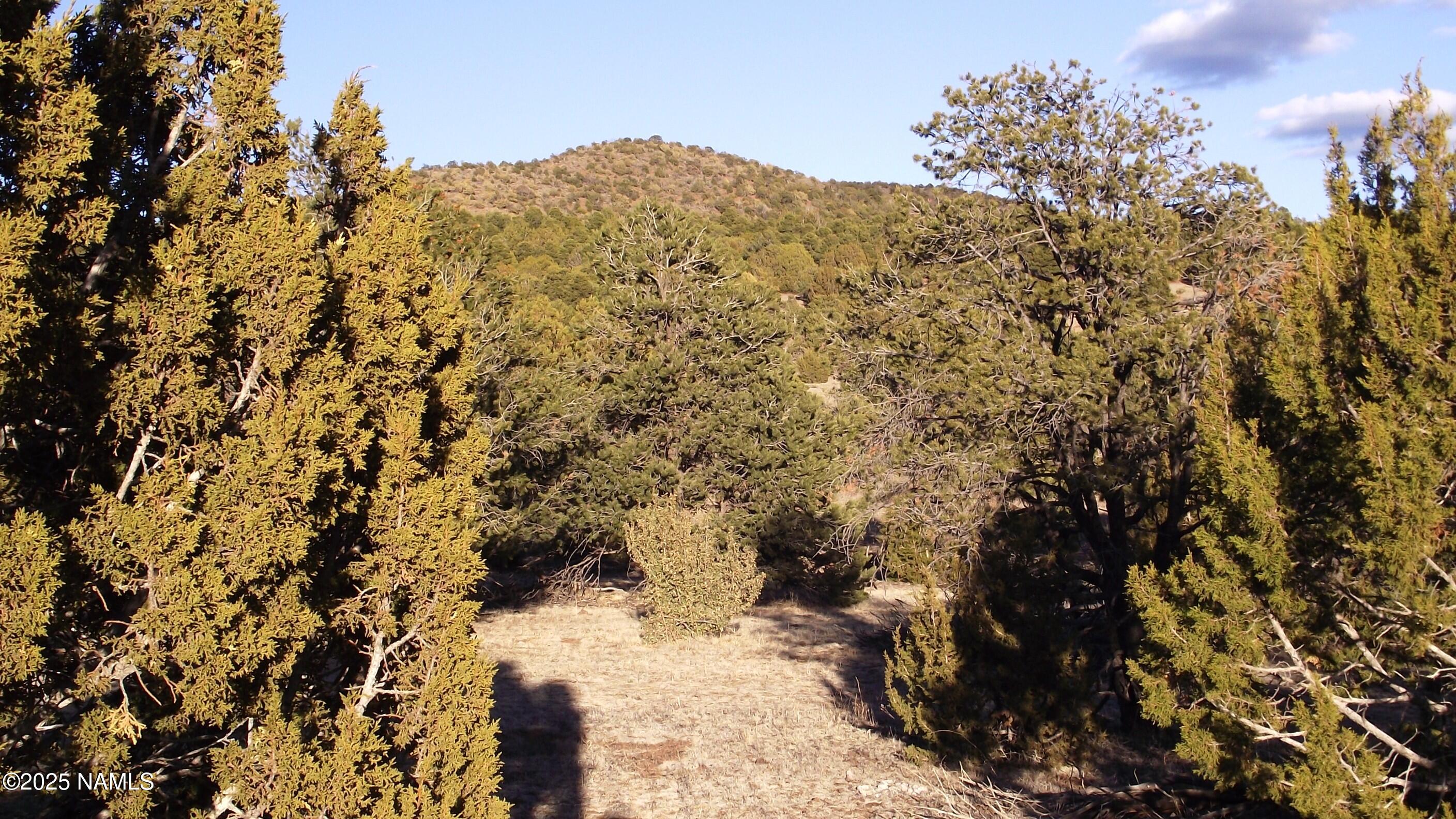 20202107 C Honeysuckle Road Williams, AZ 86046 - Photo 7 of 17 a view of a dry yard