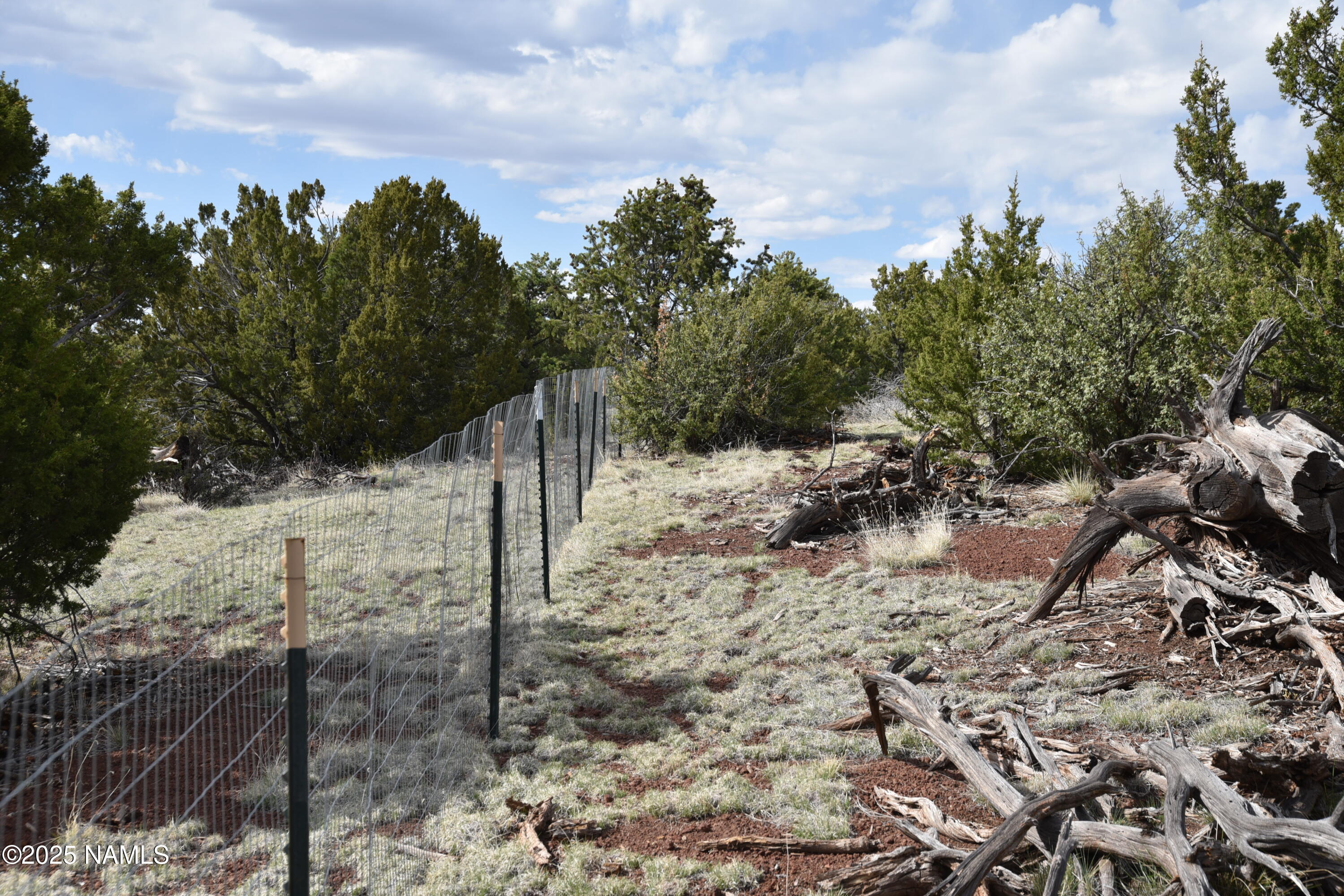 20202107 C Honeysuckle Road Williams, AZ 86046 - Photo 10 of 17 a view of a yard covered with snow in the background