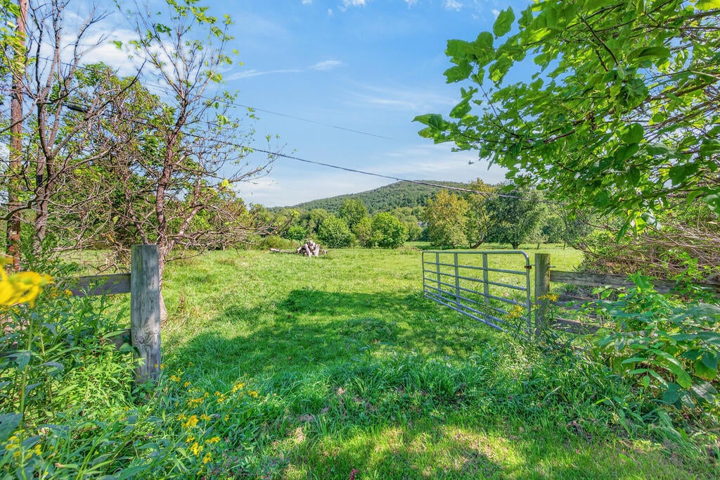 Tbd Peppers Ferry Road, Unit TRACT 4 Wytheville, VA 24382 - Photo 6 of 63 Gallery Image 6