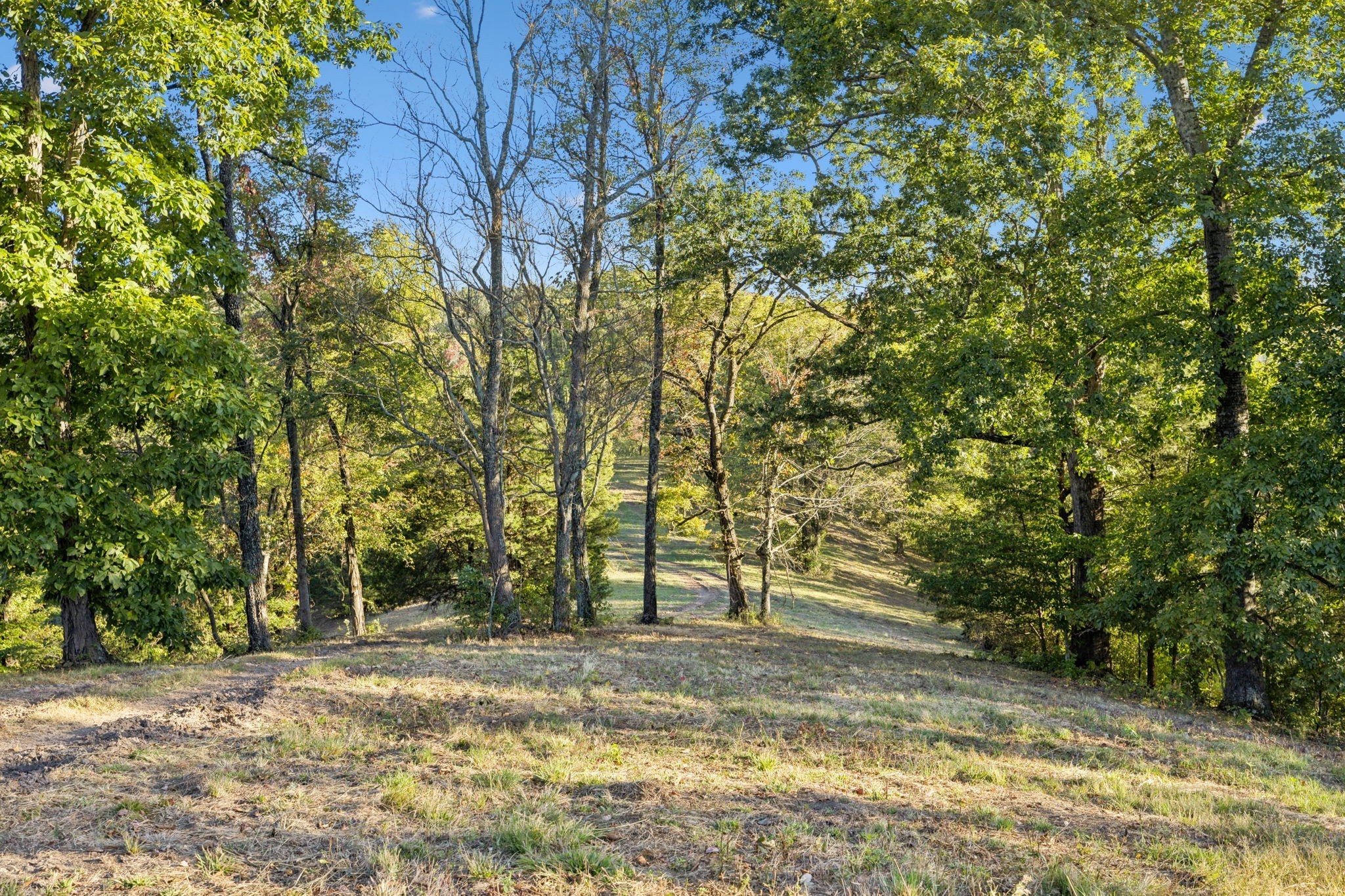 0 Blazer Road Franklin, TN 37064 - Photo 23 of 54