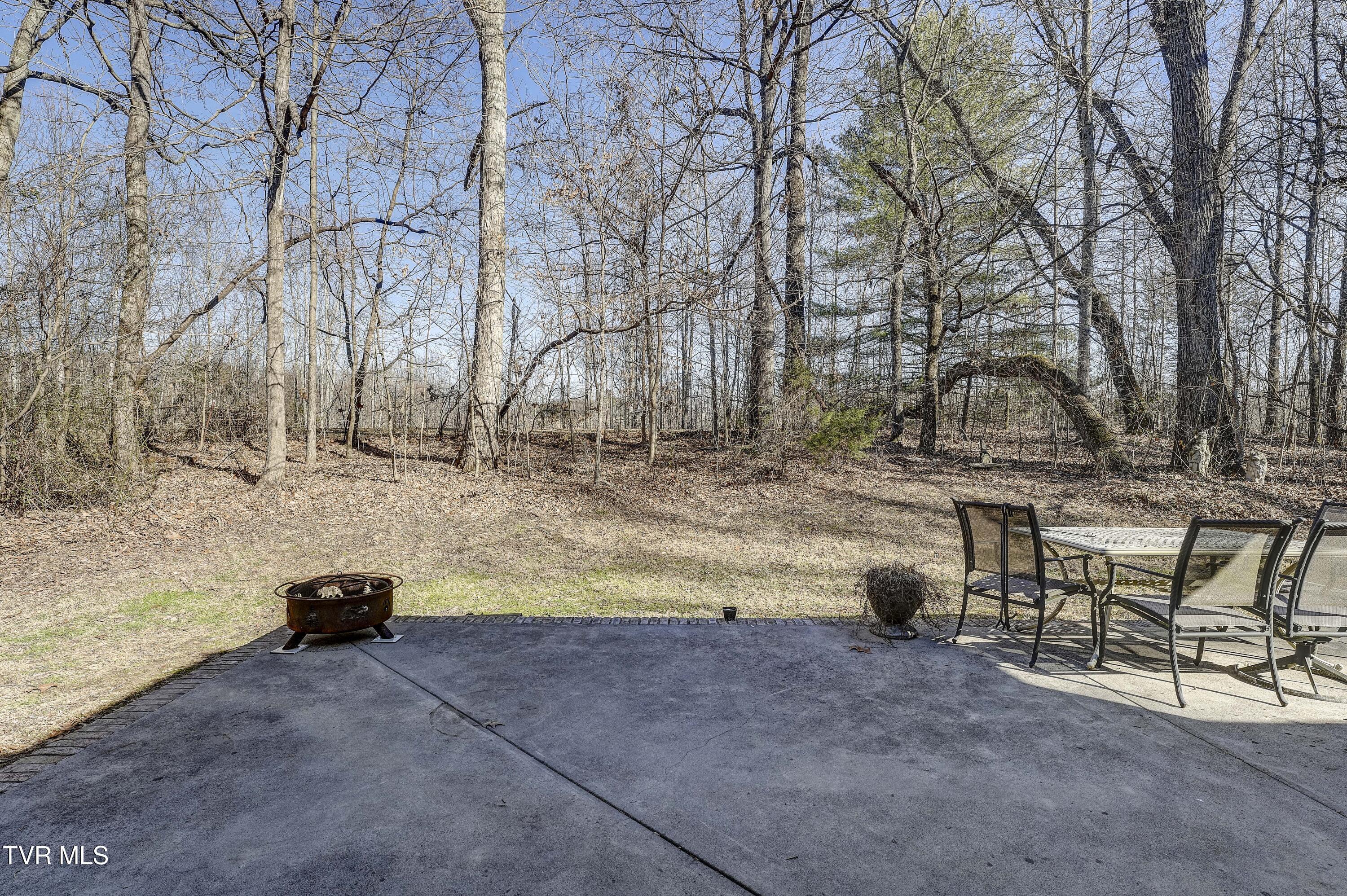 257 Logan Chapel Road Fall Branch, TN 37656 - Photo 15 of 68 LoganChapel-45