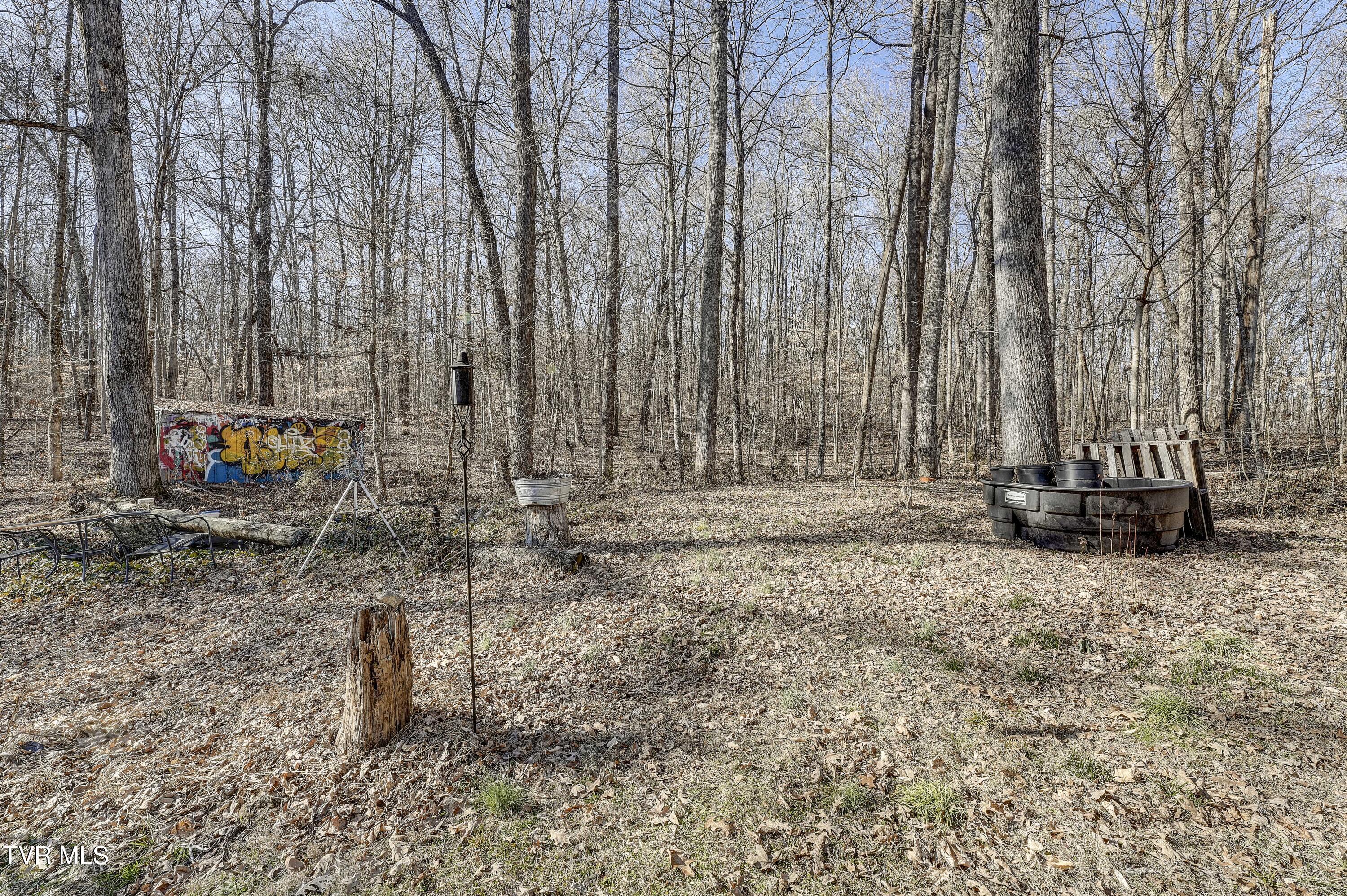257 Logan Chapel Road Fall Branch, TN 37656 - Photo 21 of 68 LoganChapel-51