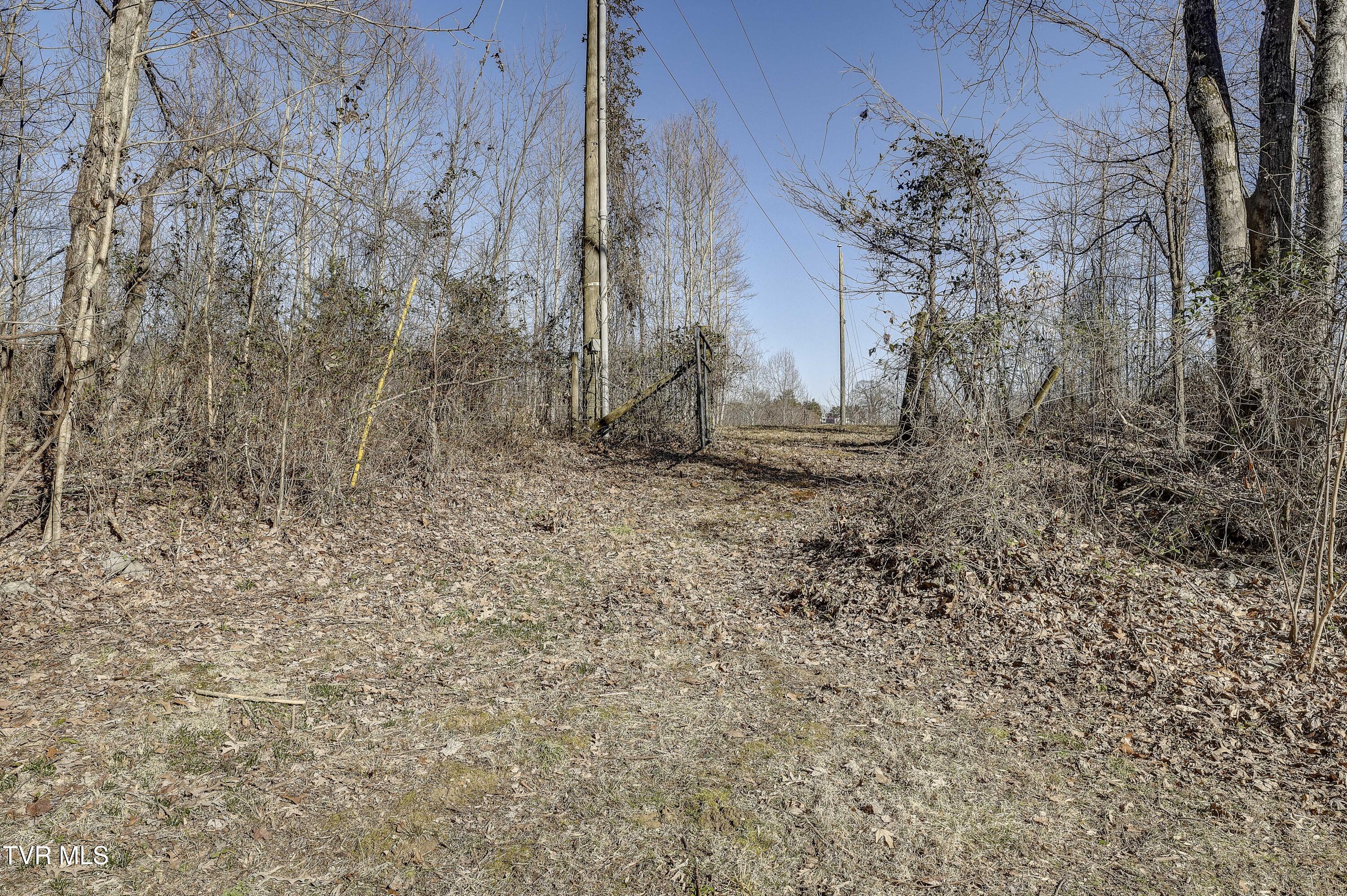 257 Logan Chapel Road Fall Branch, TN 37656 - Photo 22 of 68 LoganChapel-50