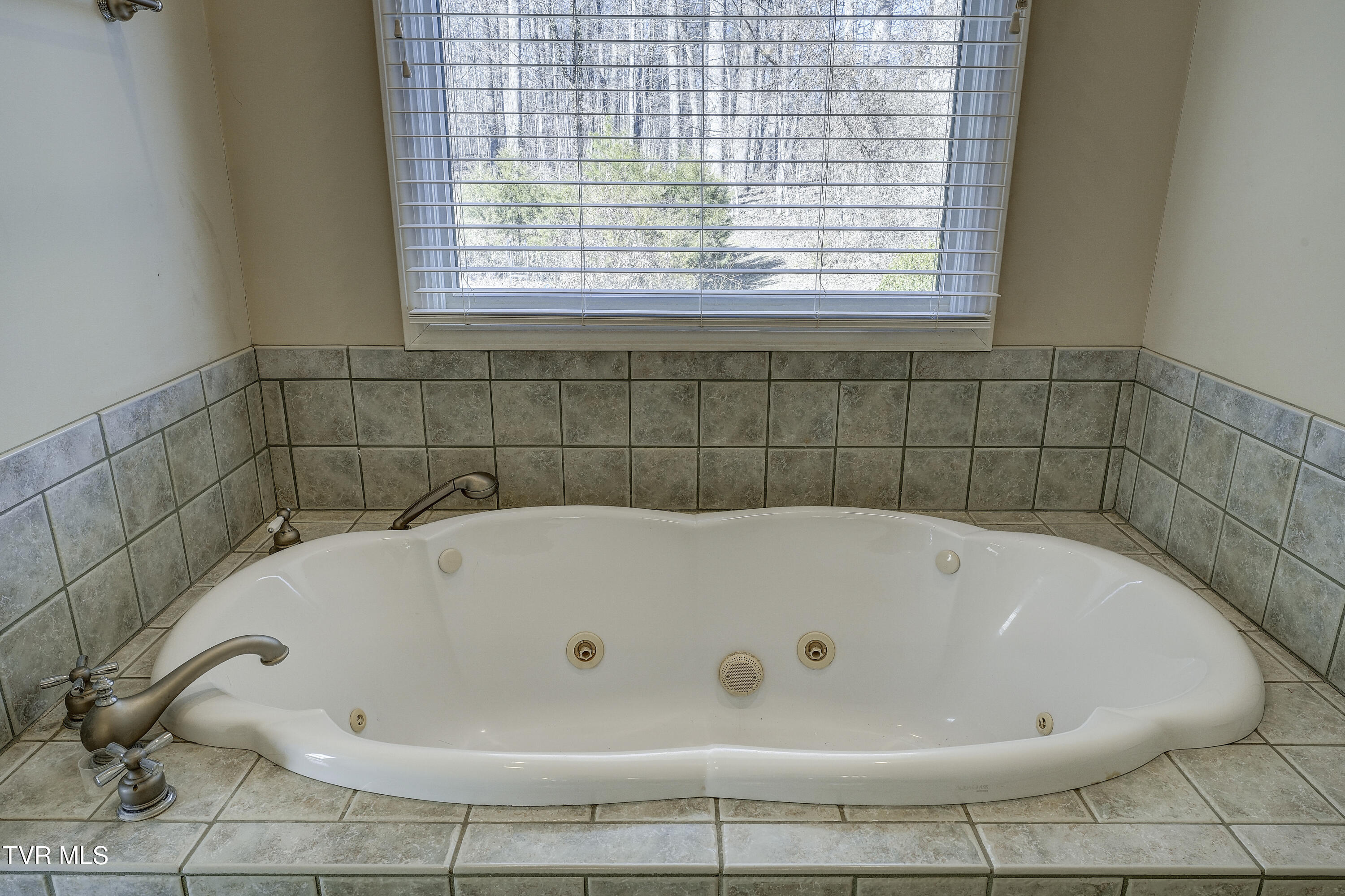 257 Logan Chapel Road Fall Branch, TN 37656 - Photo 54 of 68 LoganChapel-30