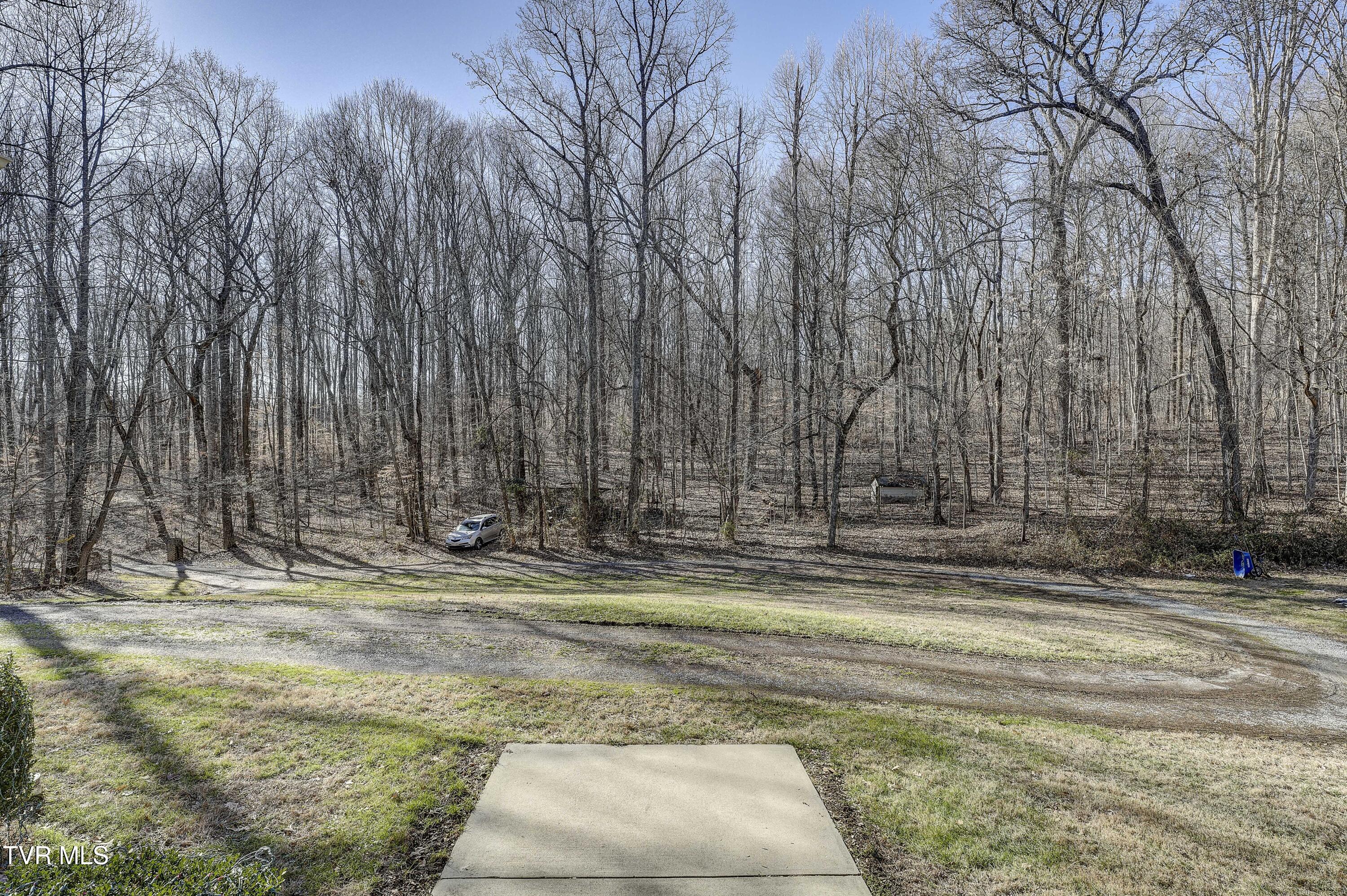 257 Logan Chapel Road Fall Branch, TN 37656 - Photo 6 of 68 LoganChapel-62