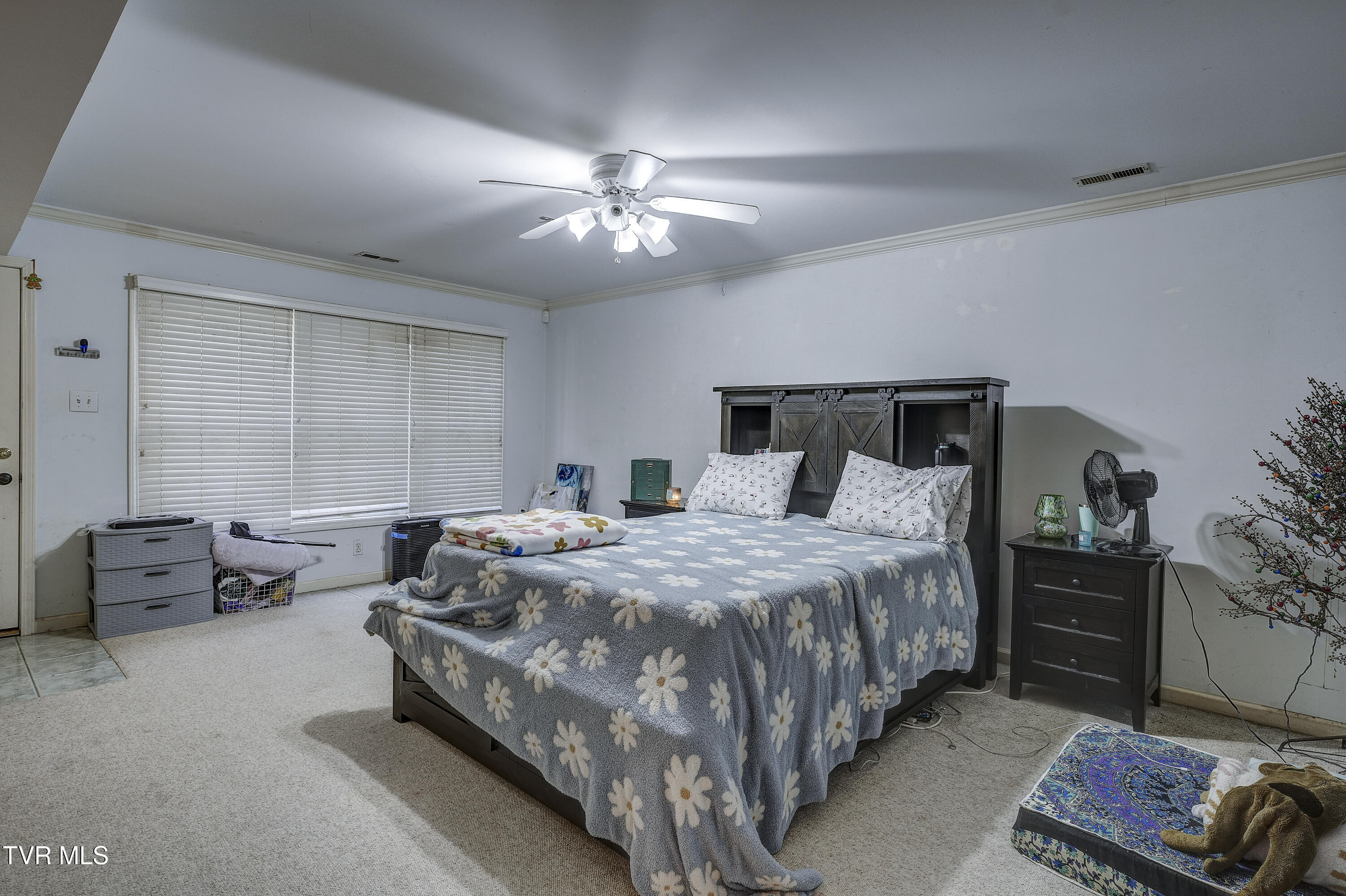 257 Logan Chapel Road Fall Branch, TN 37656 - Photo 62 of 68 LoganChapel-38