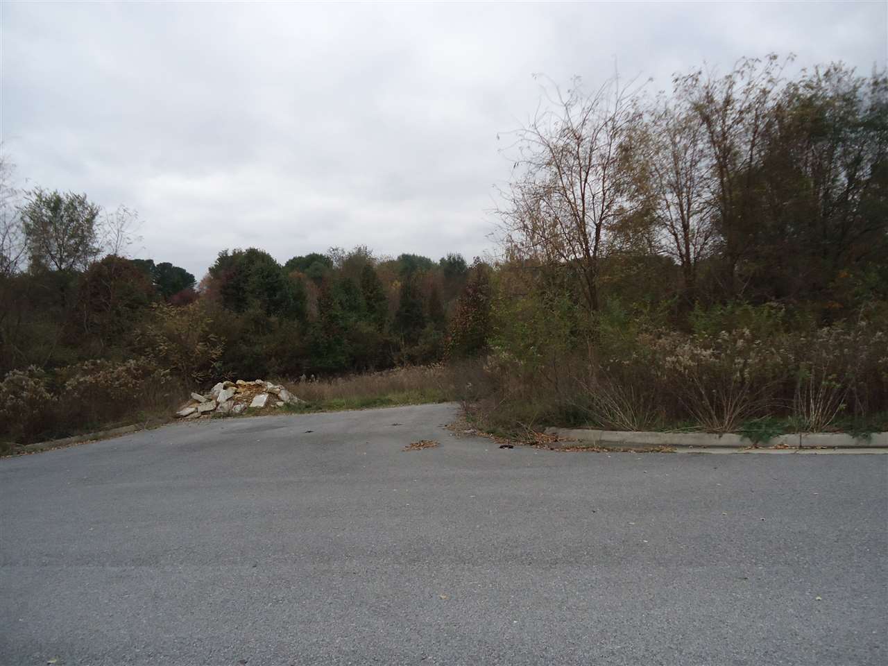 Tbd Lot 4 Tbd Lane Waynesboro, VA 22980 - Photo 1 of 1 a view of road with trees