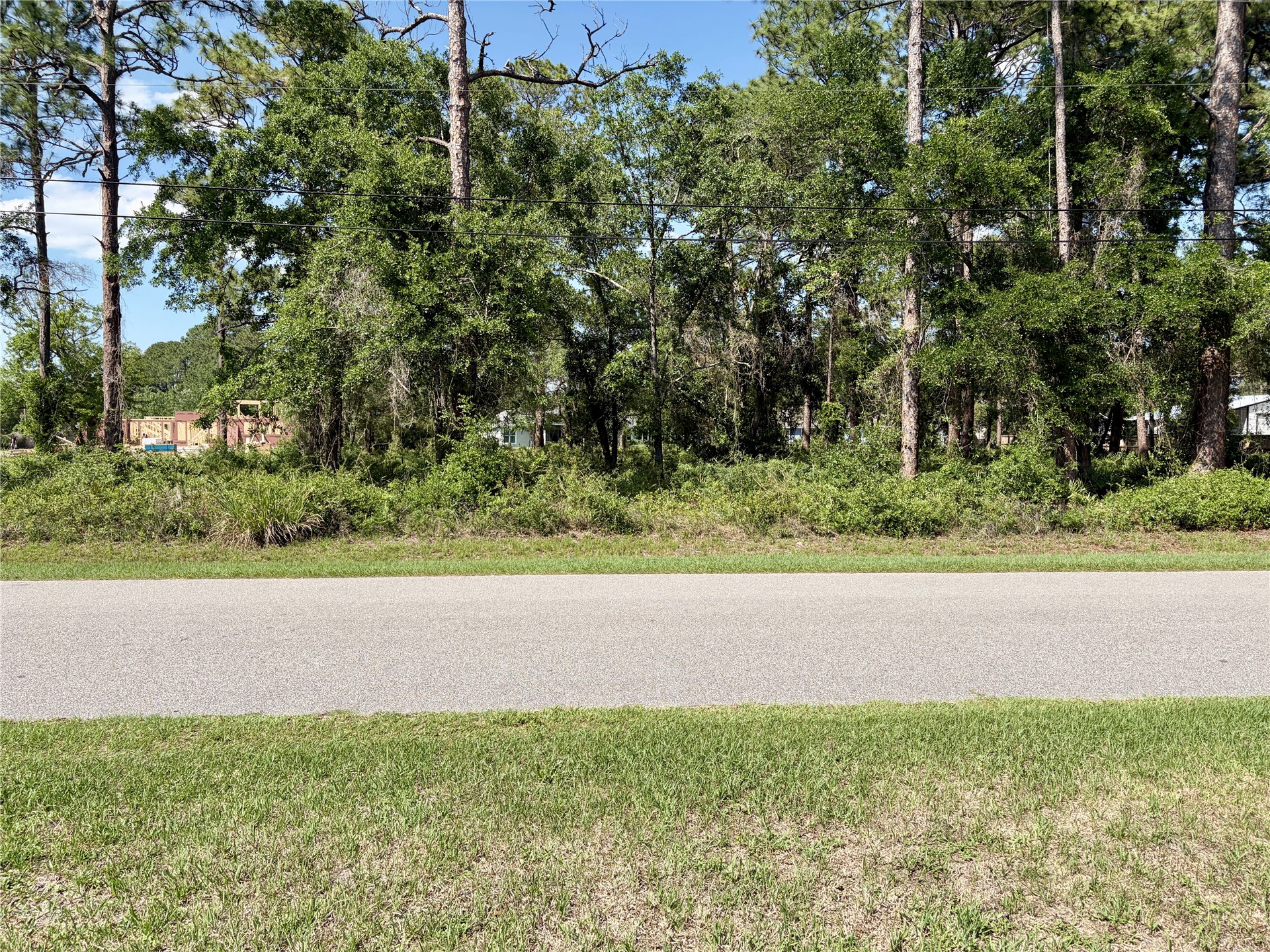 95232 Nassau River Road Fernandina Beach, FL 32034 - Photo 1 of 3 a view of a yard with a tree