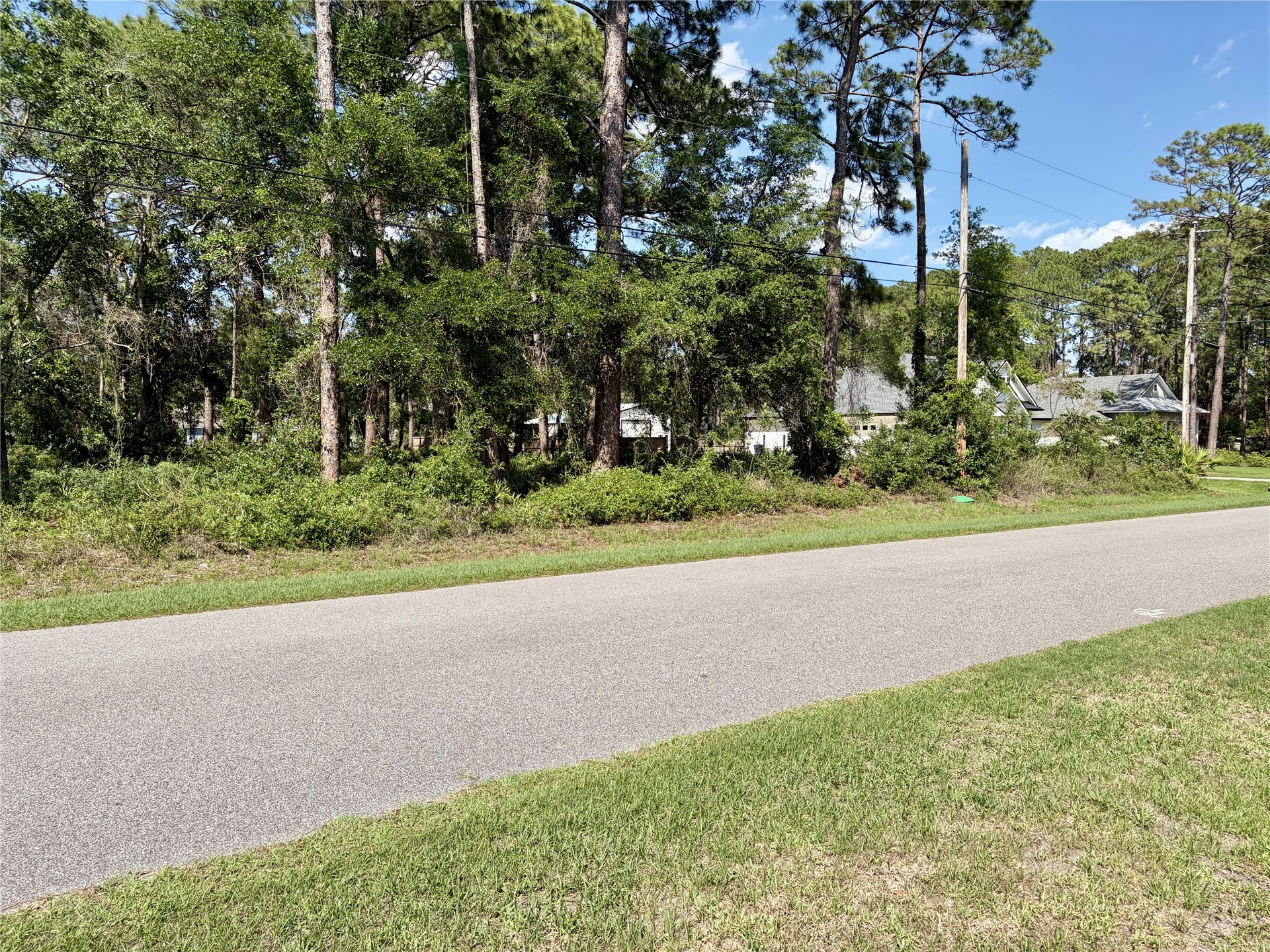 95232 Nassau River Road Fernandina Beach, FL 32034 - Photo 2 of 3 a view of a yard and tree
