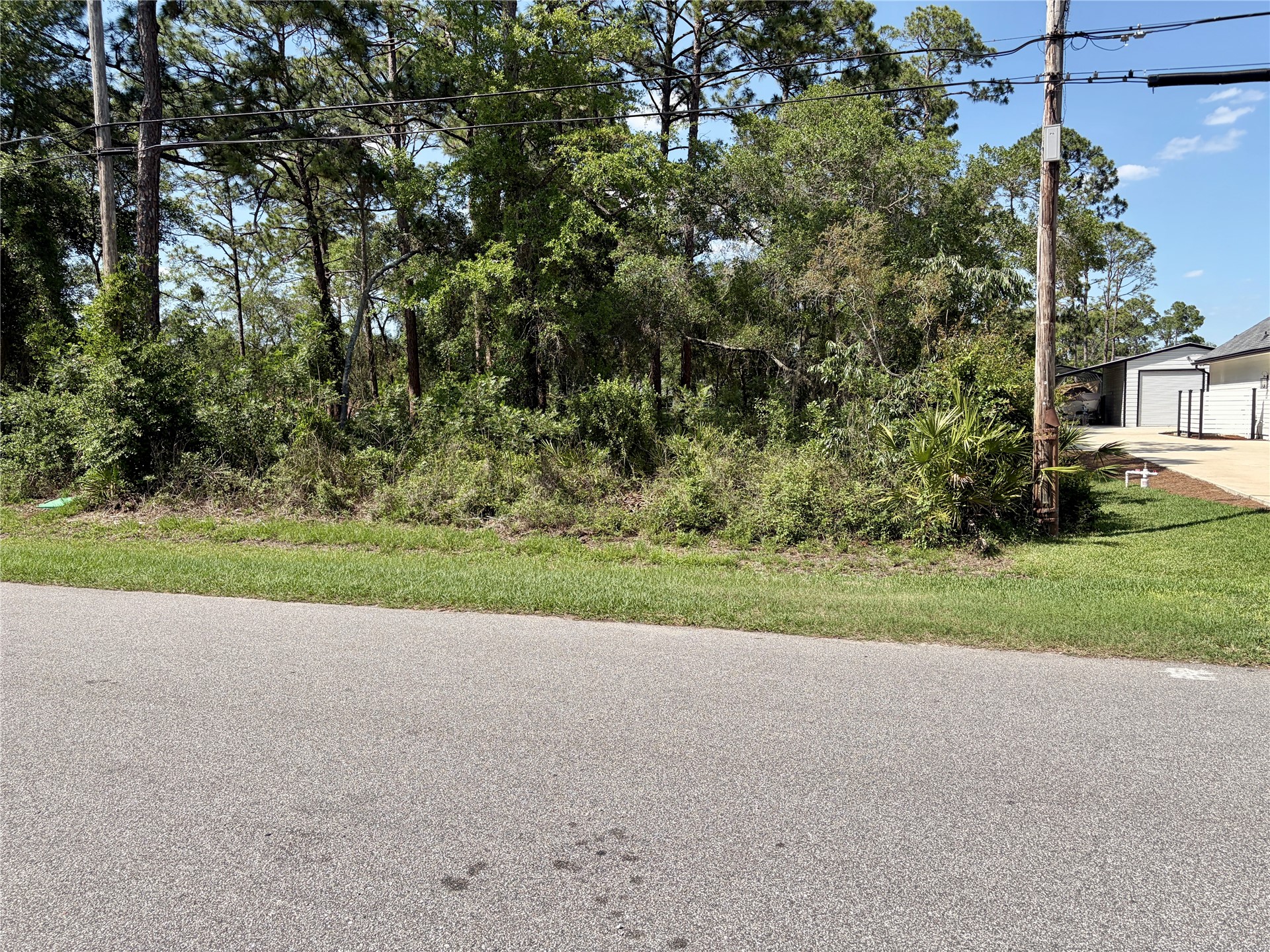 95232 Nassau River Road Fernandina Beach, FL 32034 - Photo 3 of 3 a view of a yard with a house