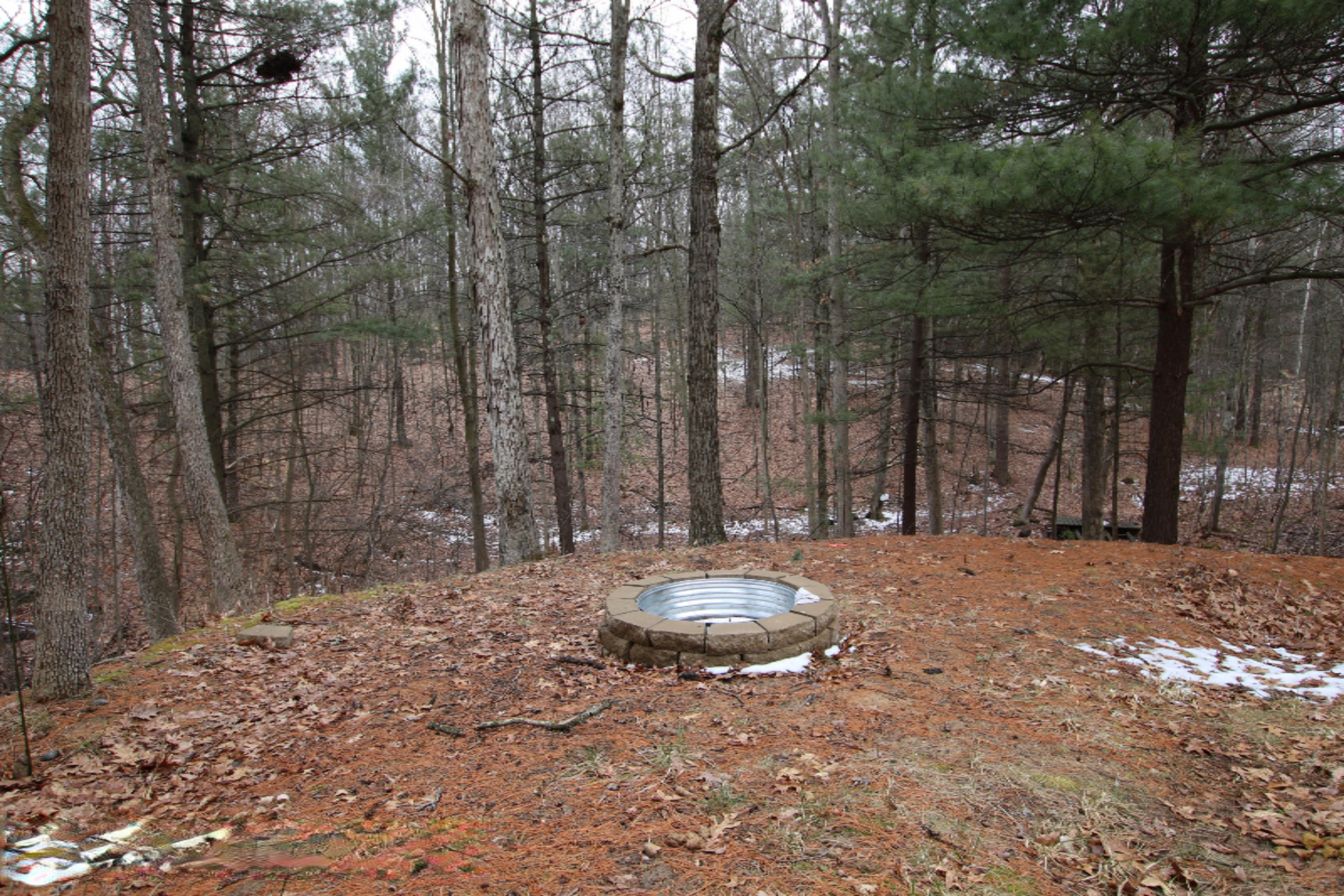 23075 Kendaville Road Pierson, MI 49339 - Photo 43 of 46 Tanner_Peirson (87)
