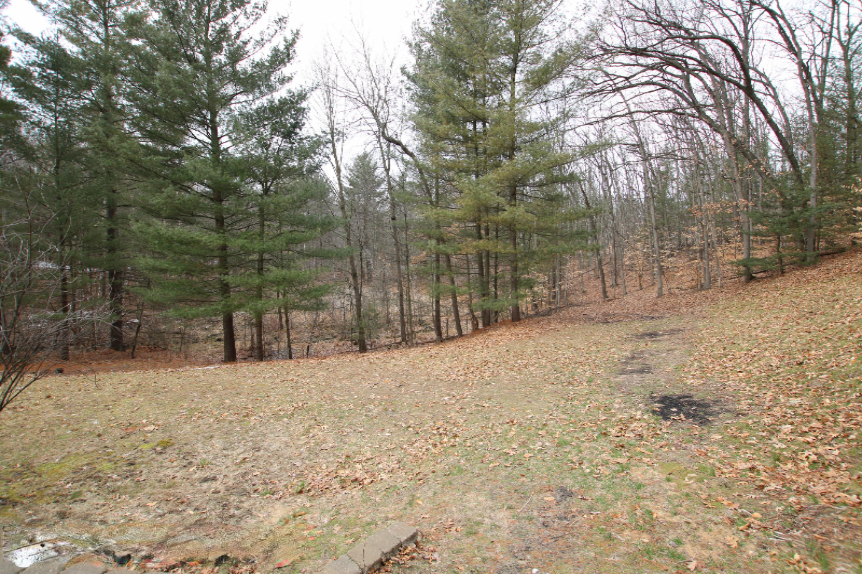 23075 Kendaville Road Pierson, MI 49339 - Photo 44 of 46 Tanner_Peirson (95)