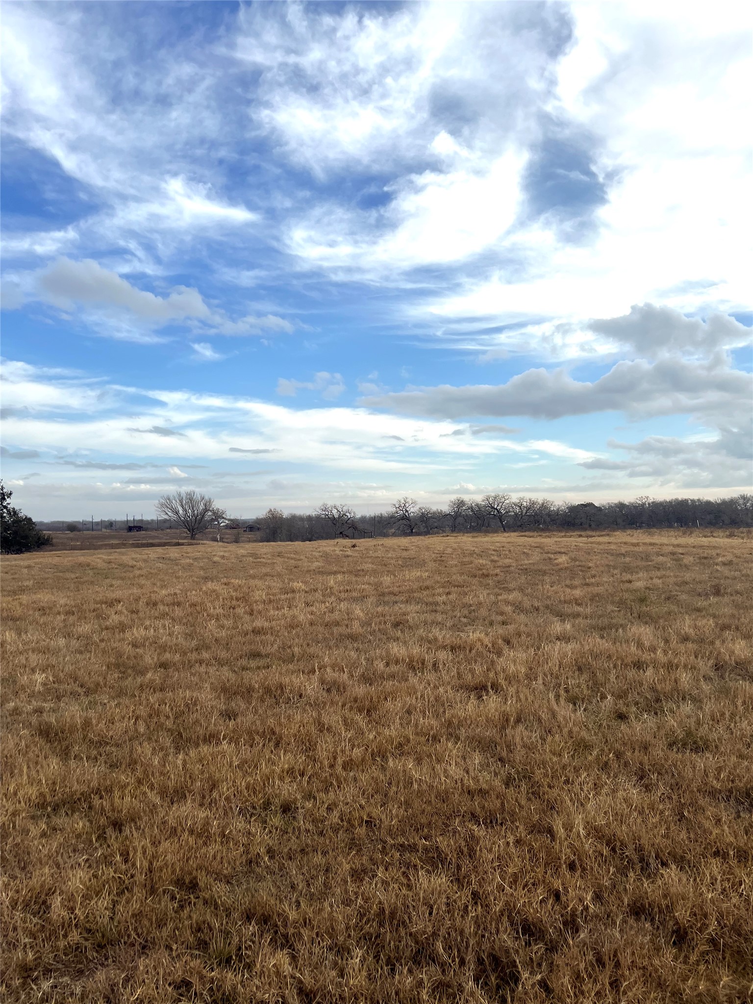 505 Engelke Road Kingsbury, TX 78638 - Photo 4 of 10 View of nature with rural landscape