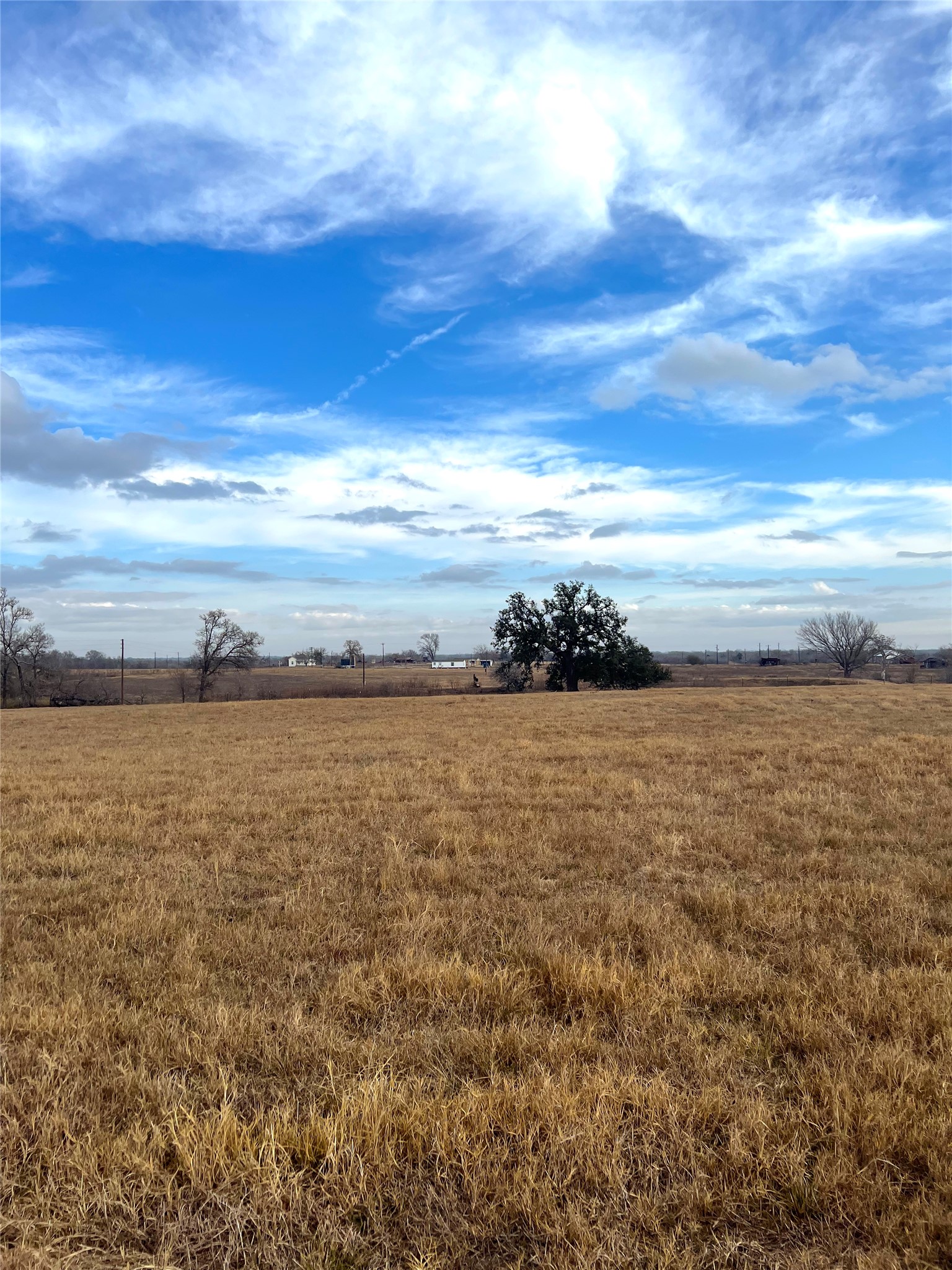 505 Engelke Road Kingsbury, TX 78638 - Photo 5 of 10 View of green lawn with a rural view
