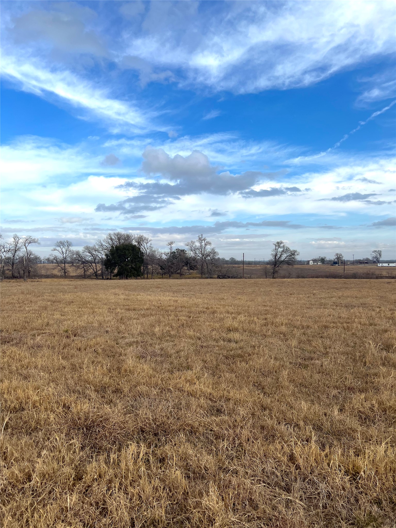 505 Engelke Road Kingsbury, TX 78638 - Photo 6 of 10 View of green lawn featuring a view of countryside
