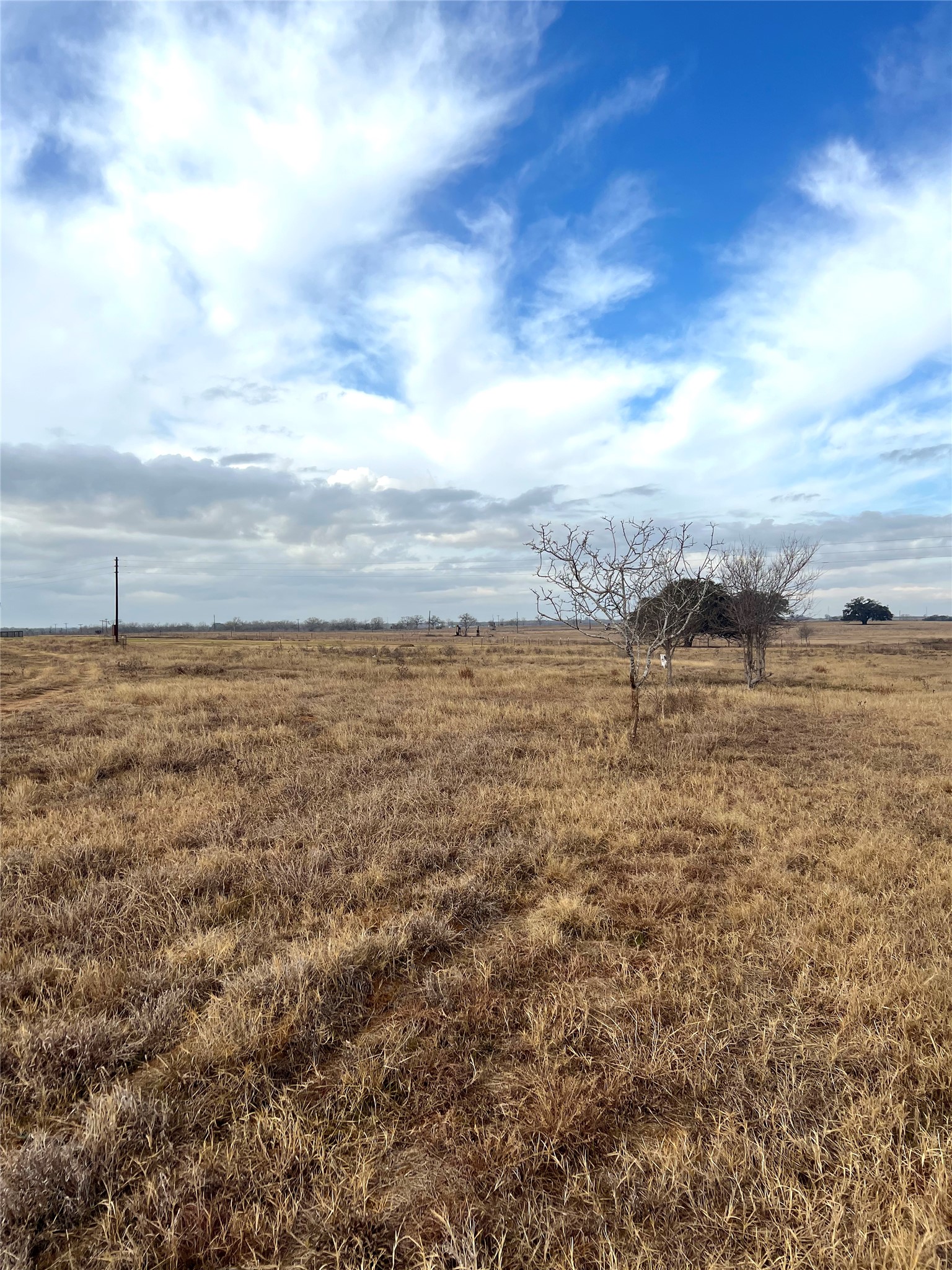 505 Engelke Road Kingsbury, TX 78638 - Photo 9 of 10 View of yard with a view of rural / pastoral area